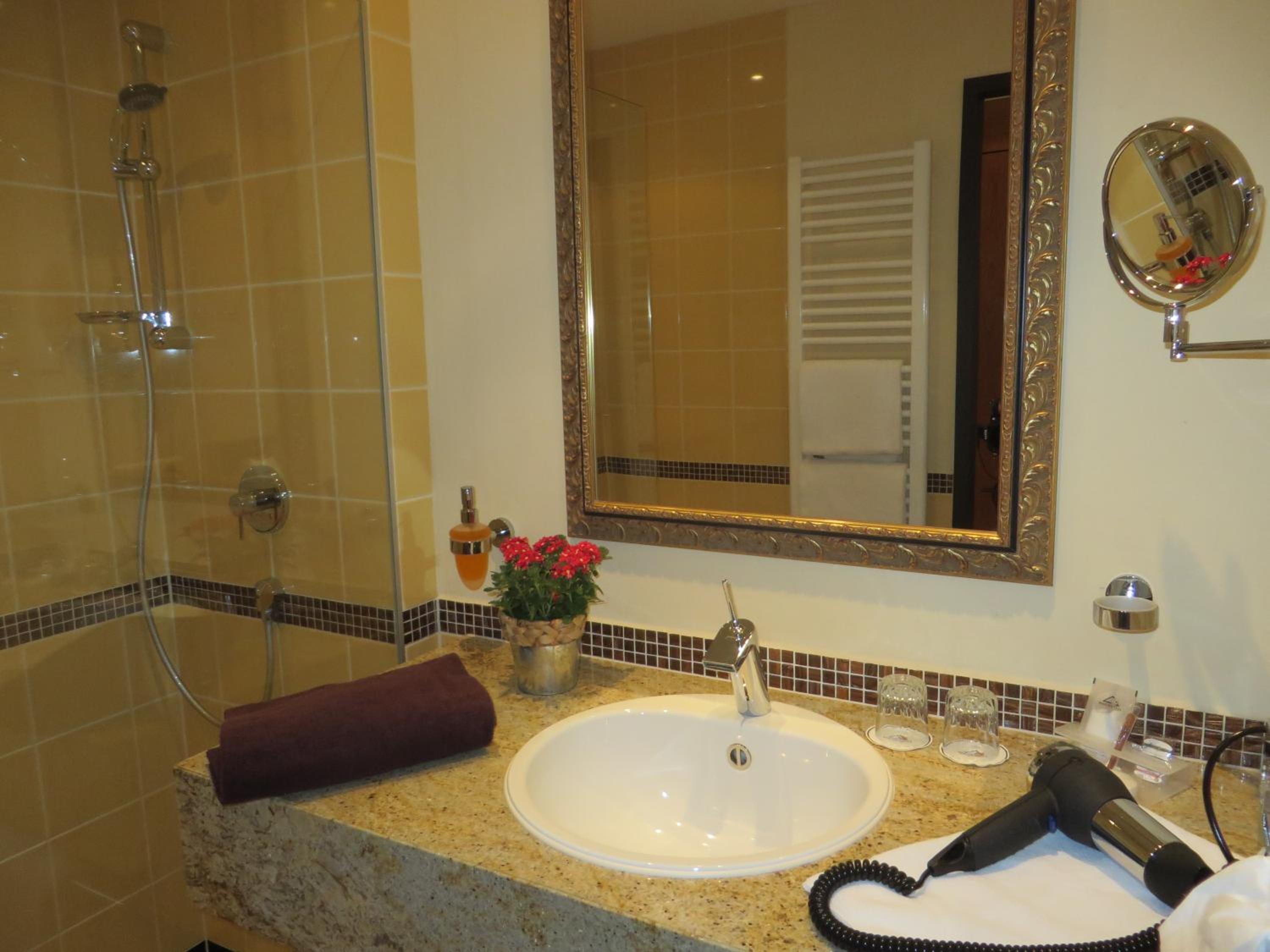 Superior Single Room photo 3