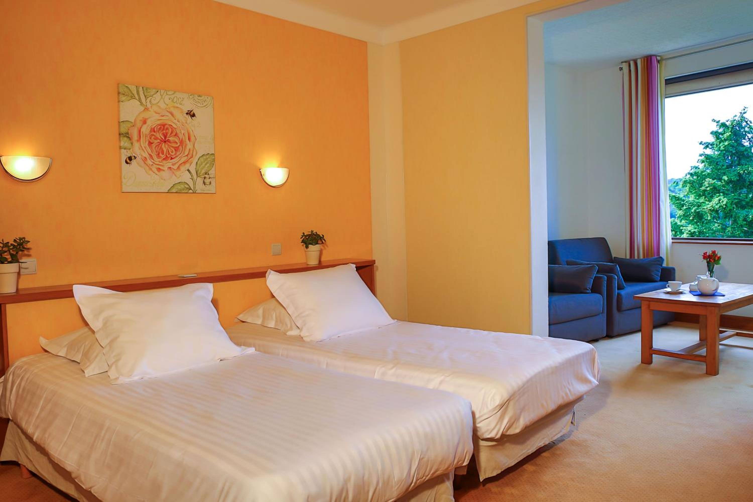 Superior Twin Room With Garden View photo 1