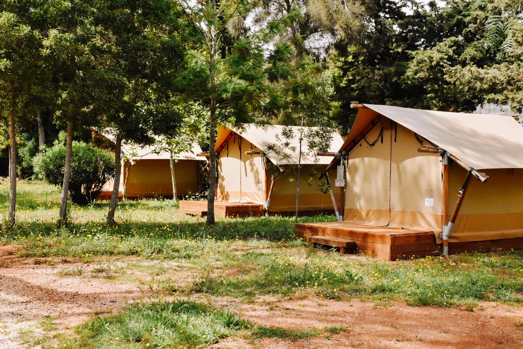 Double Woody Tent - Photo 3