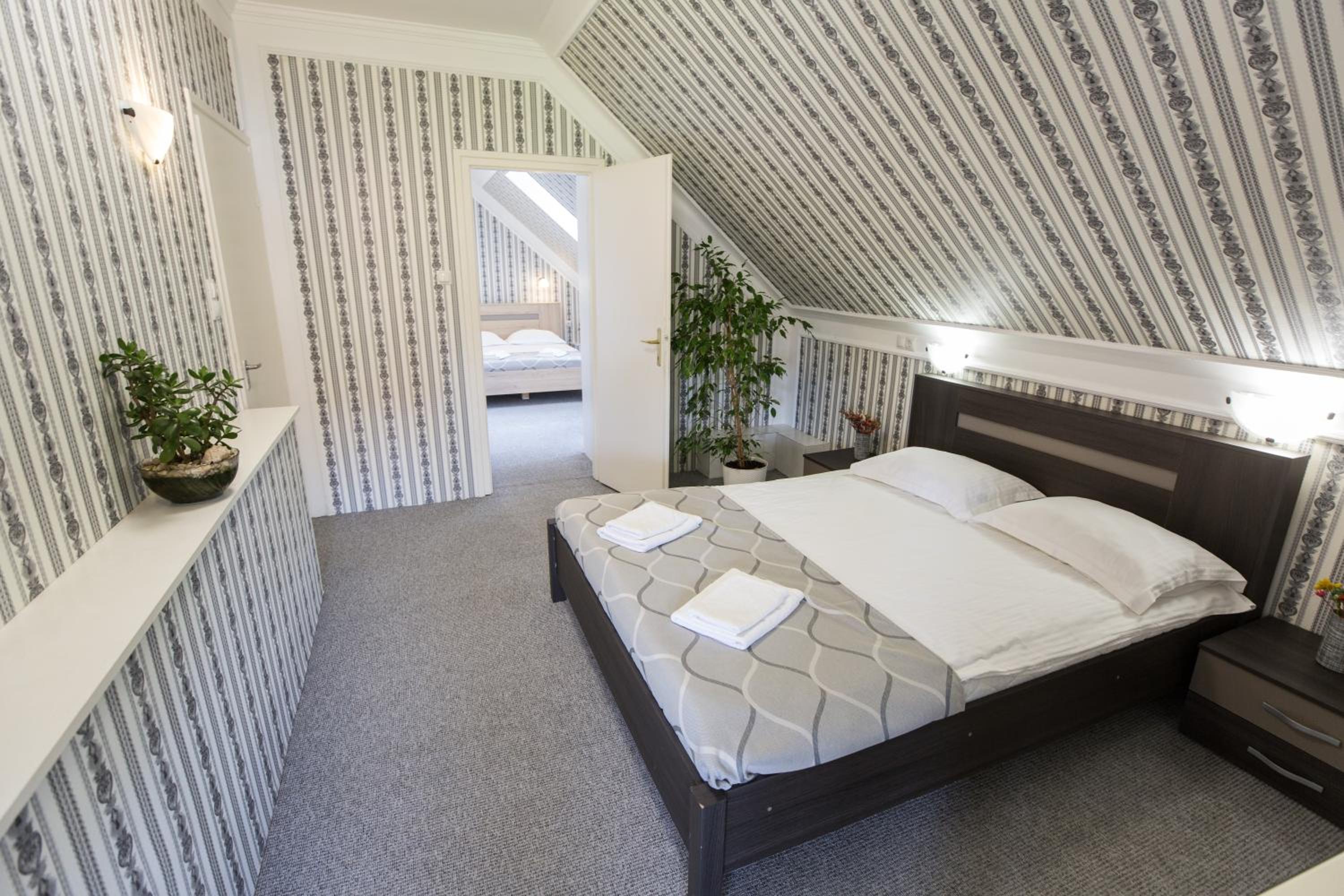 Apartment with Terrace photo 2