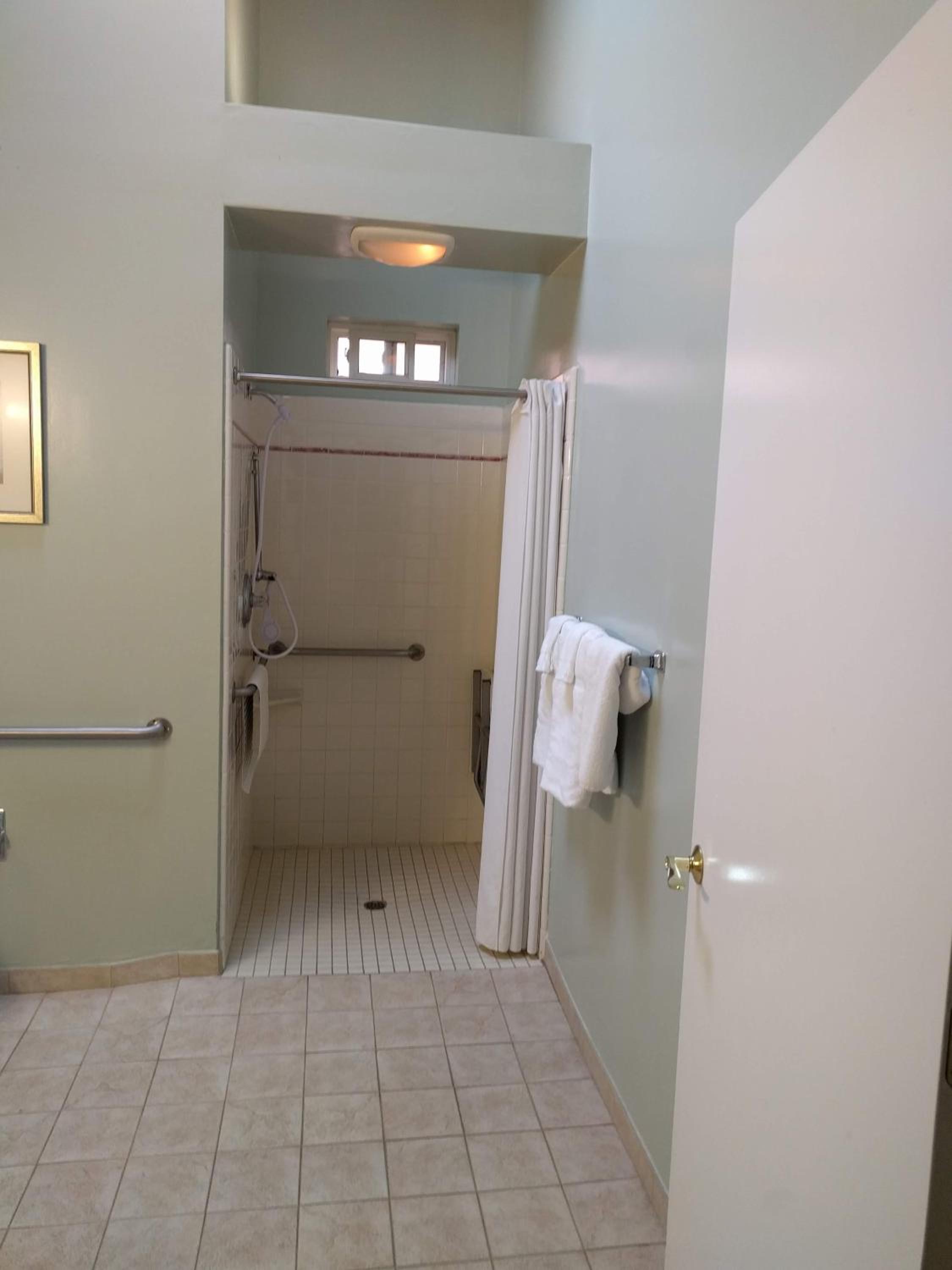 King Room with Roll-In Shower - Disability Access - Photo 4