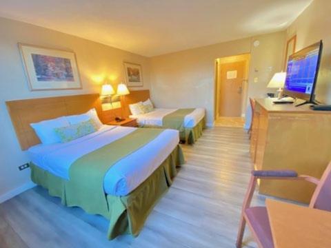Efficiency Suite with Two Double Beds - Non-Smoking photo 2