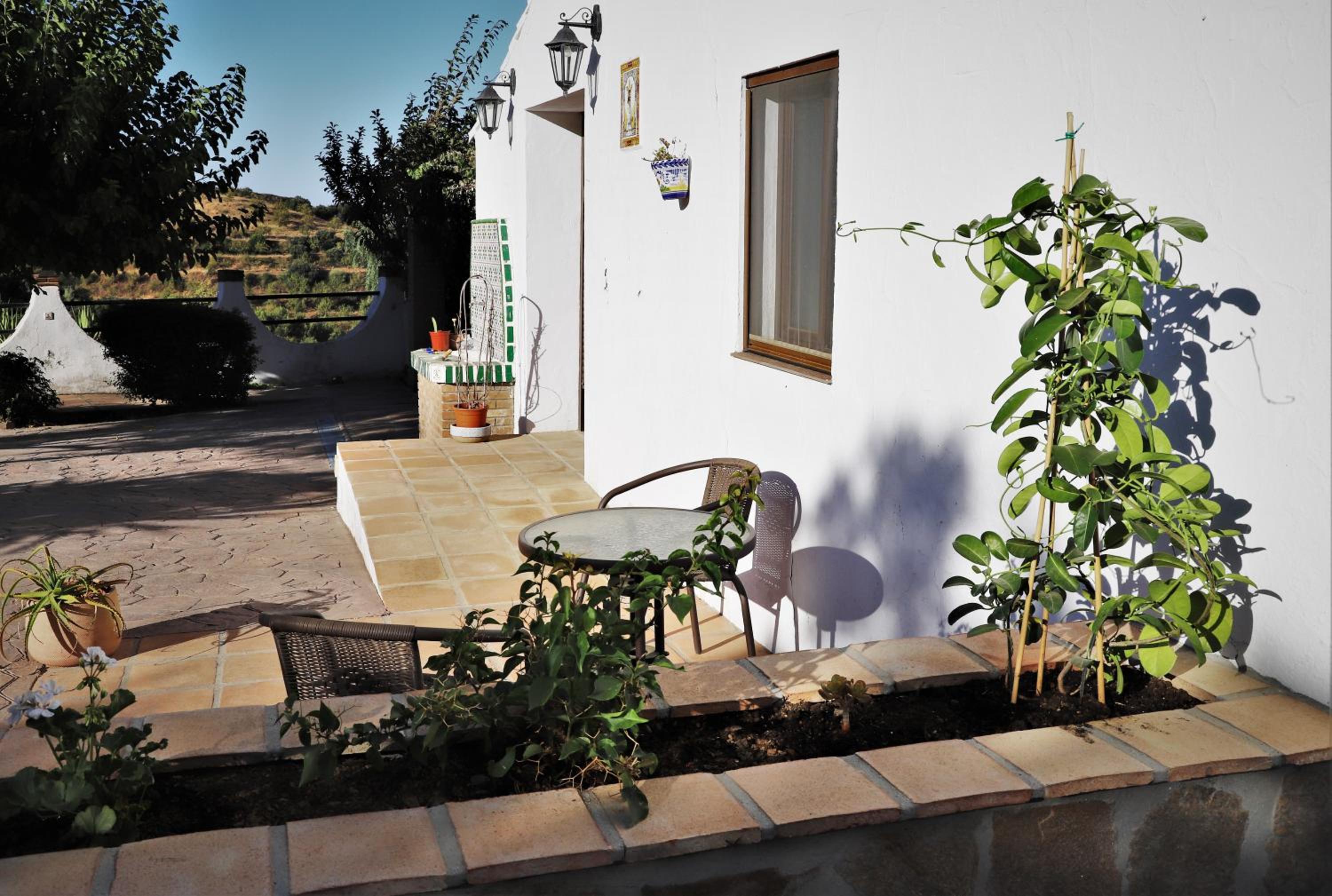 Finca La Meica Bed & Breakfast, Billede 4
