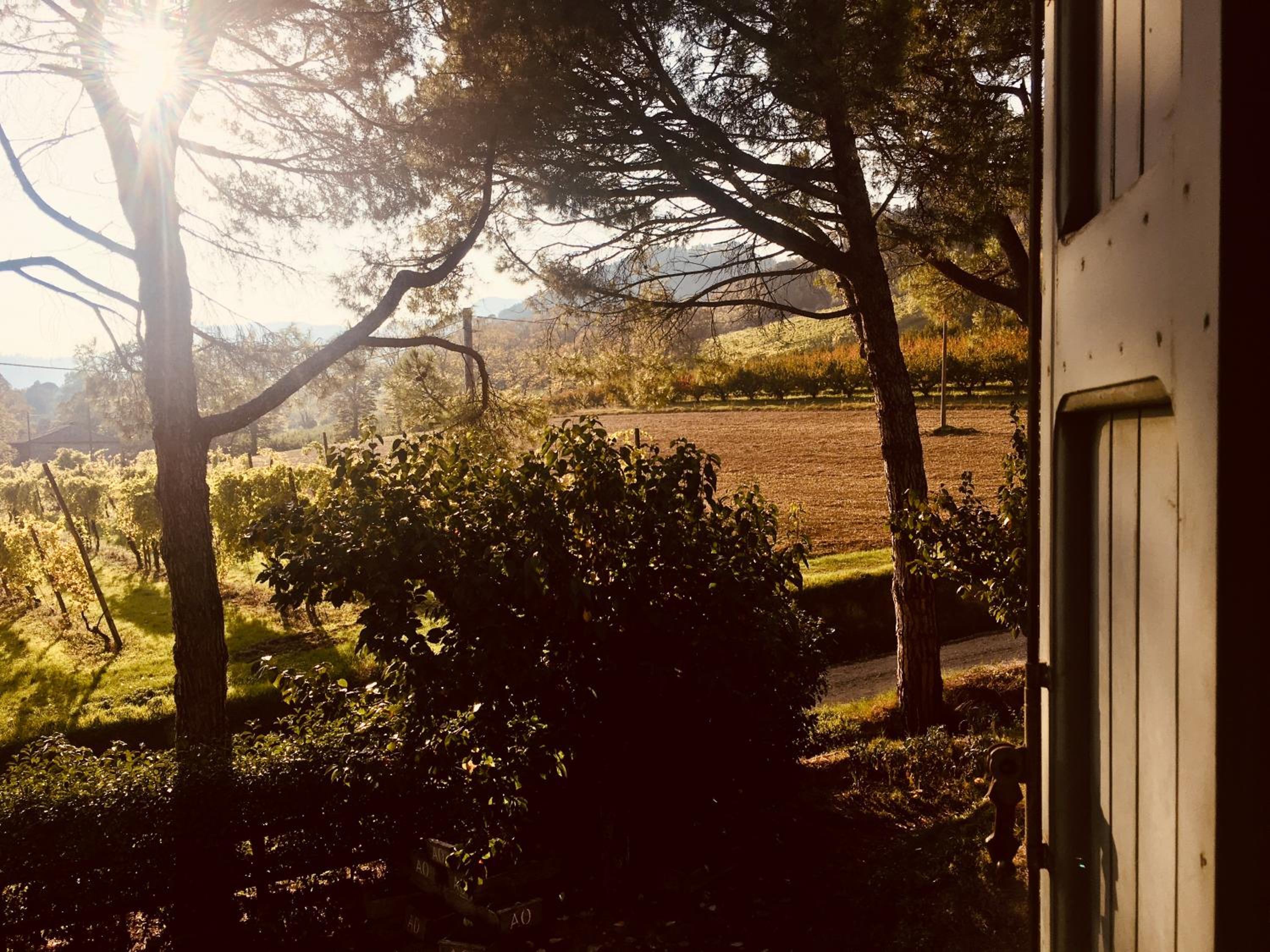 Double Room with Mountain View - Photo 2