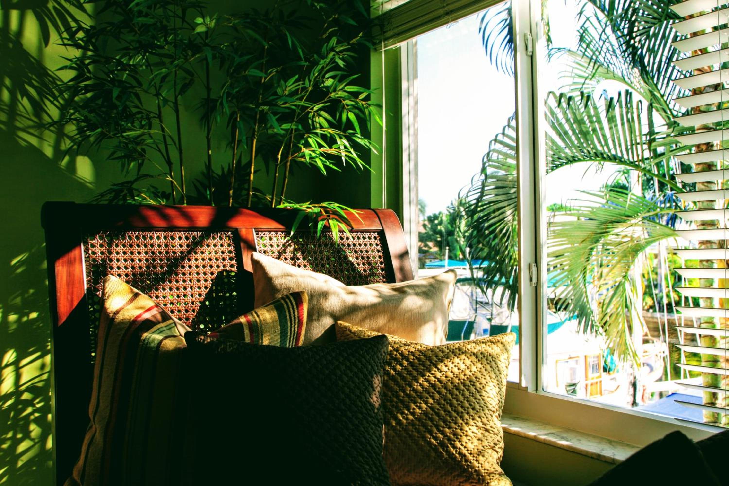 Miami Classic One-Bedroom photo 2