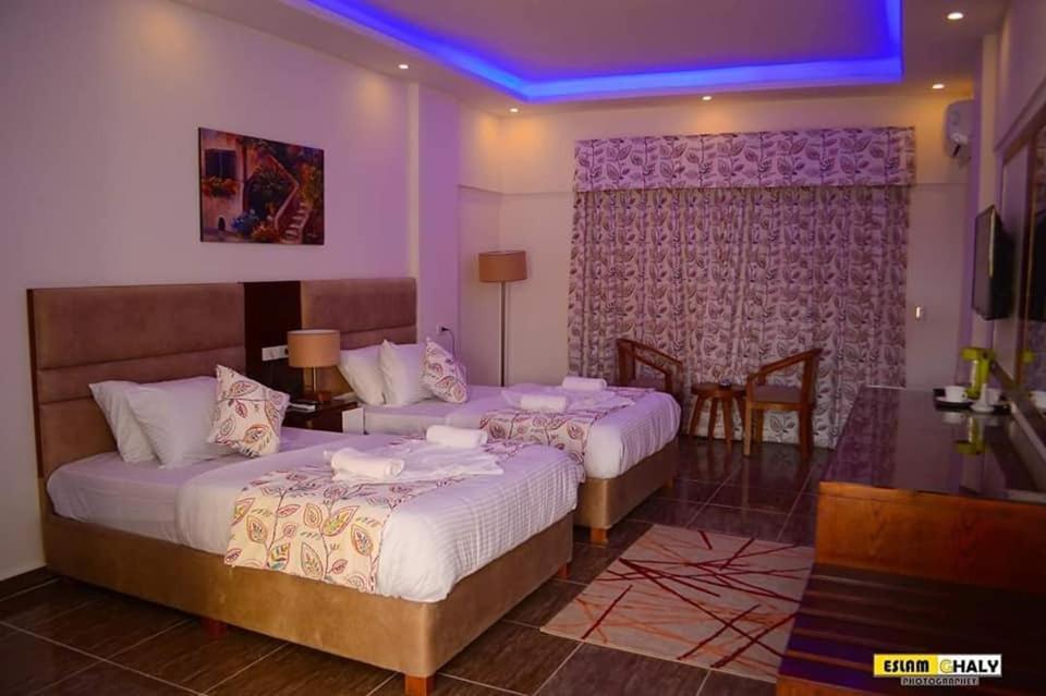 Double or Twin Room - Photo 10