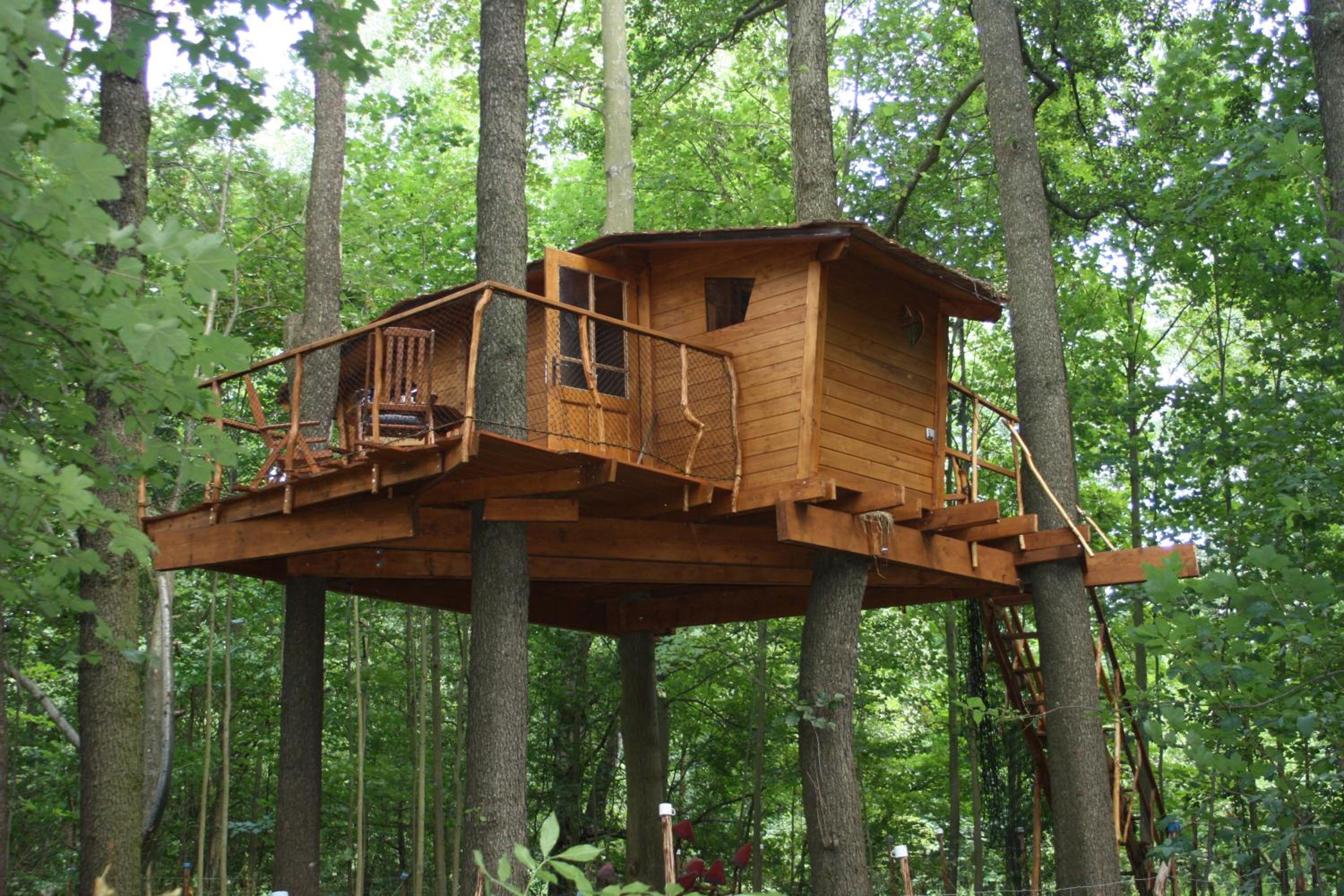 Treehouse - Photo 4