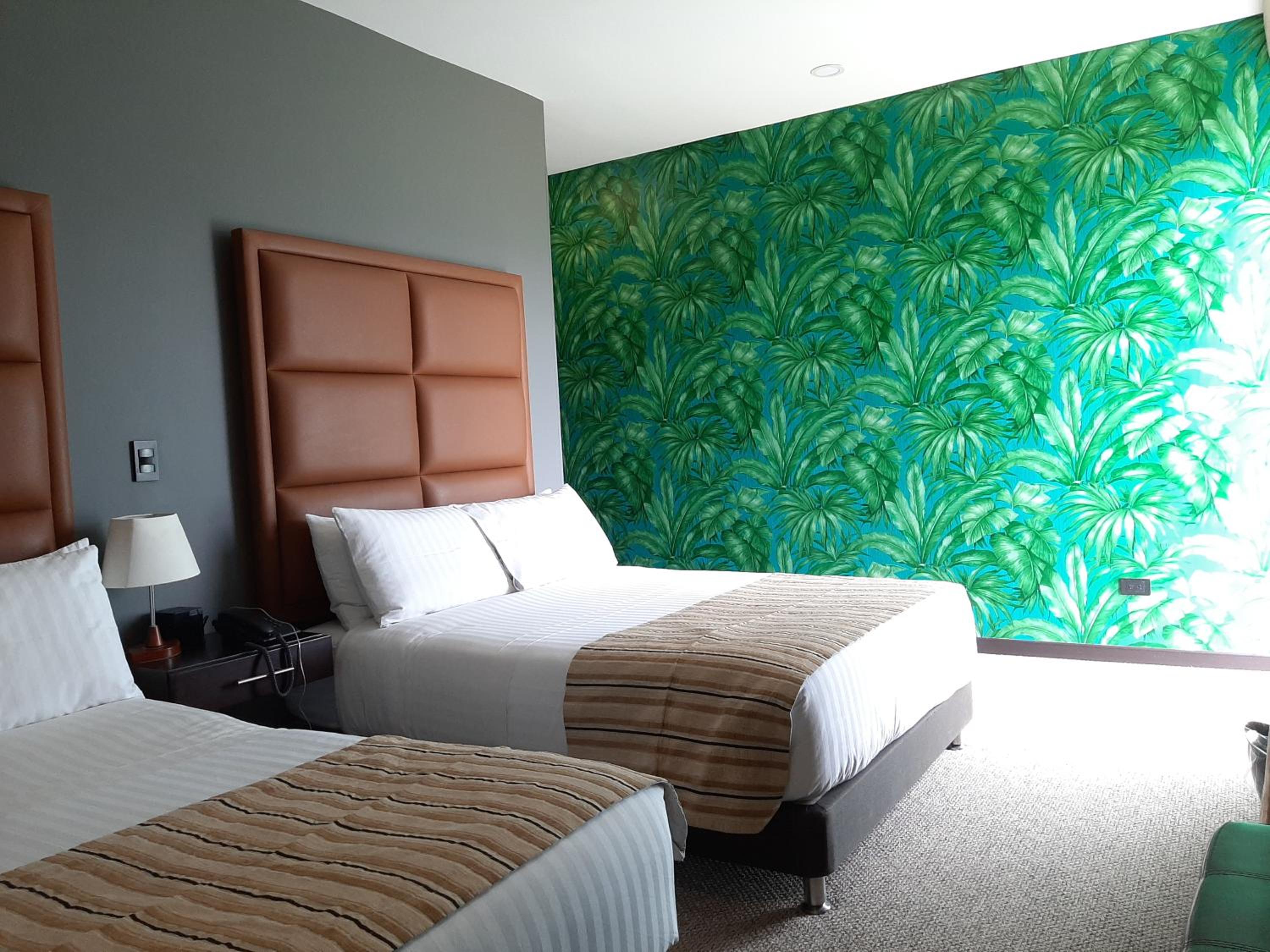Superior Quadruple Room photo 1