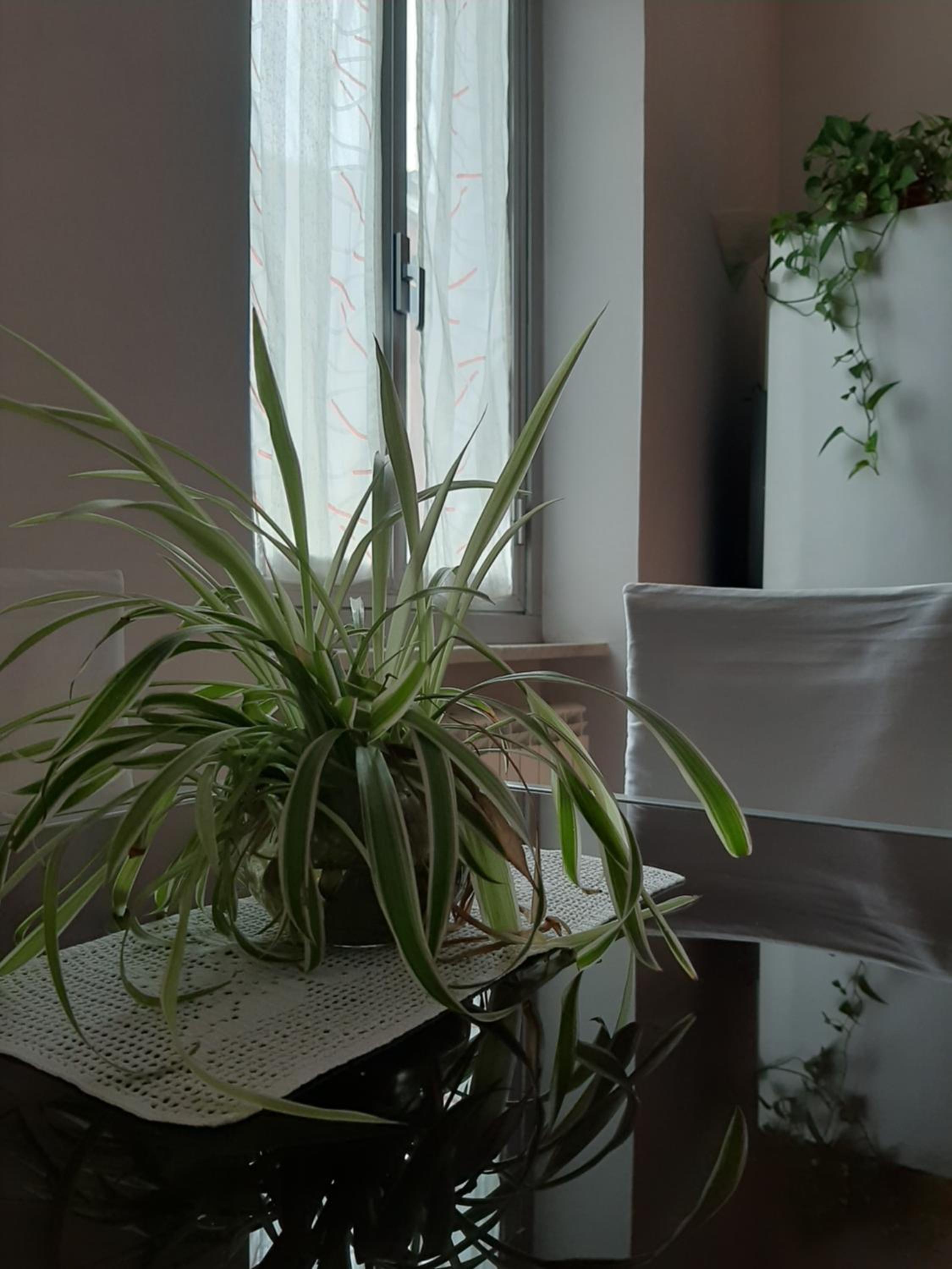 One-Bedroom Apartment - Photo 13