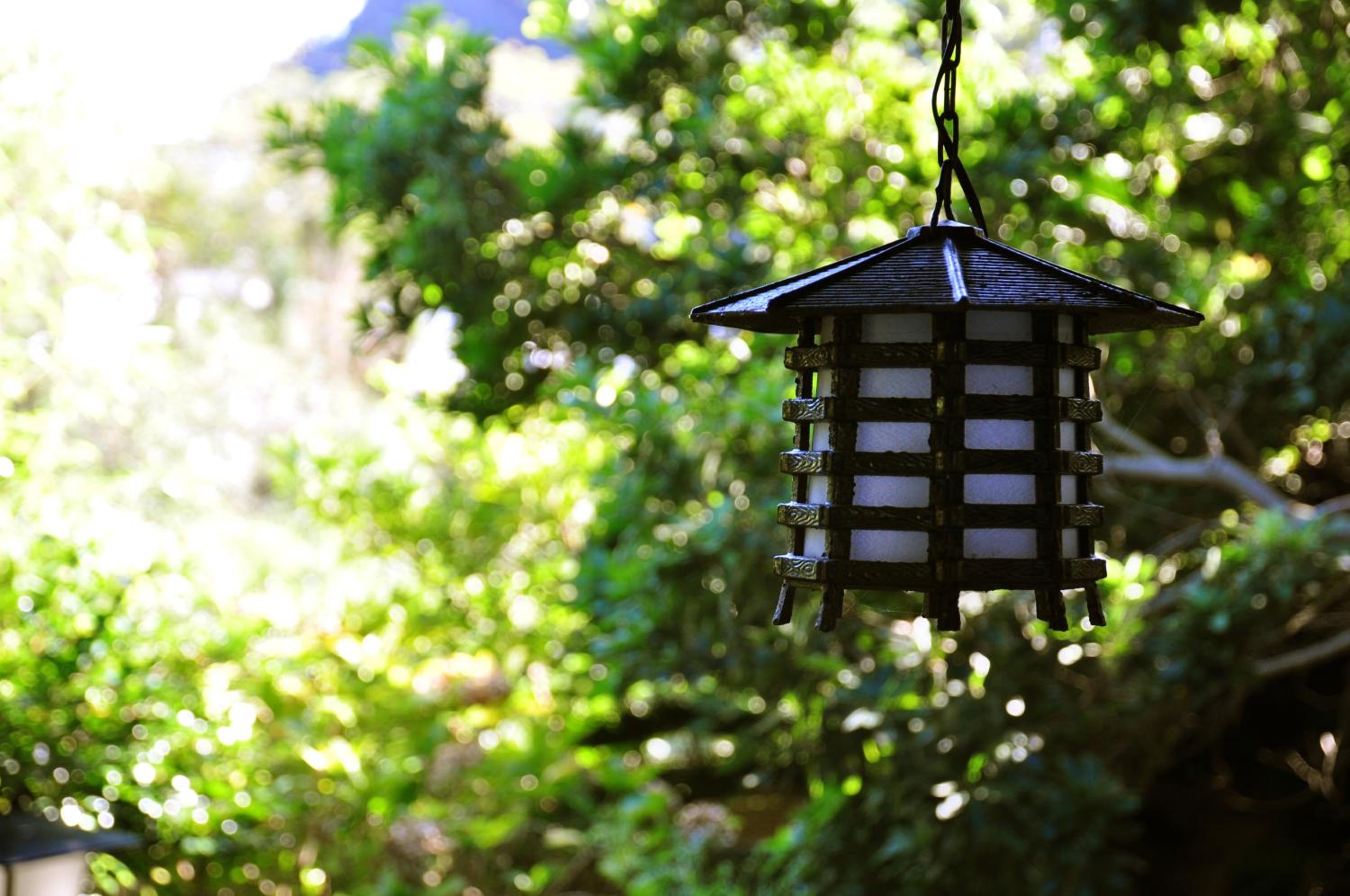 Japanese-Style Standard Room - Photo 4