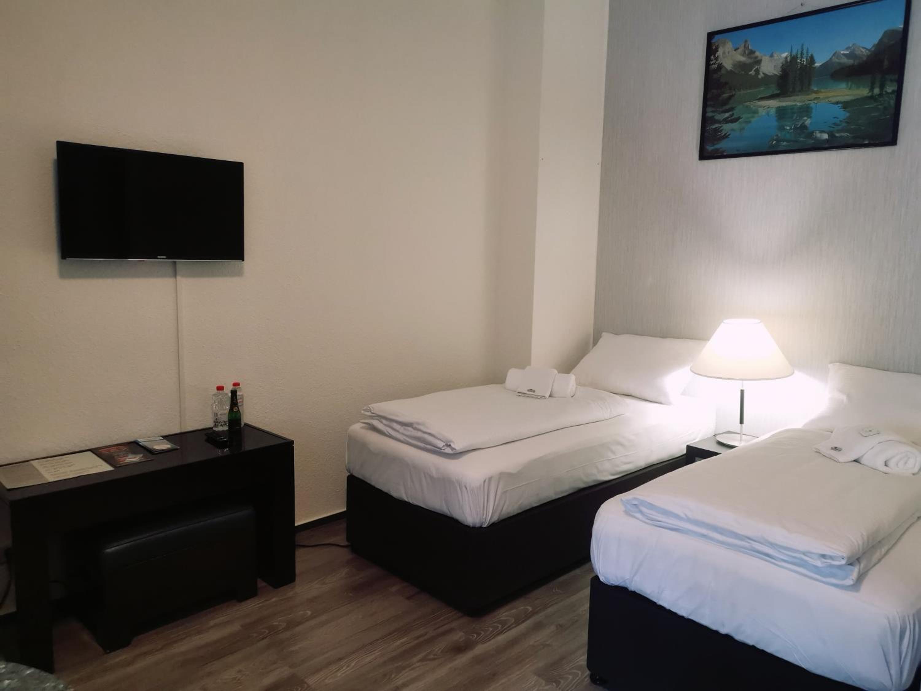Deluxe Twin Room photo 1