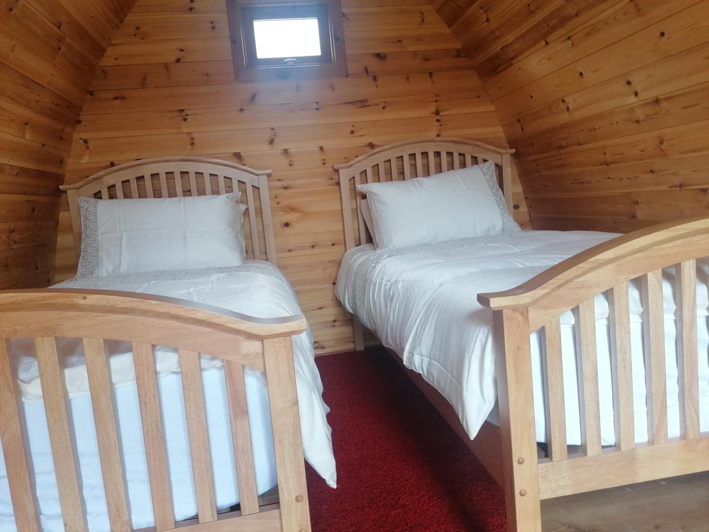 Double or Twin Room photo 1