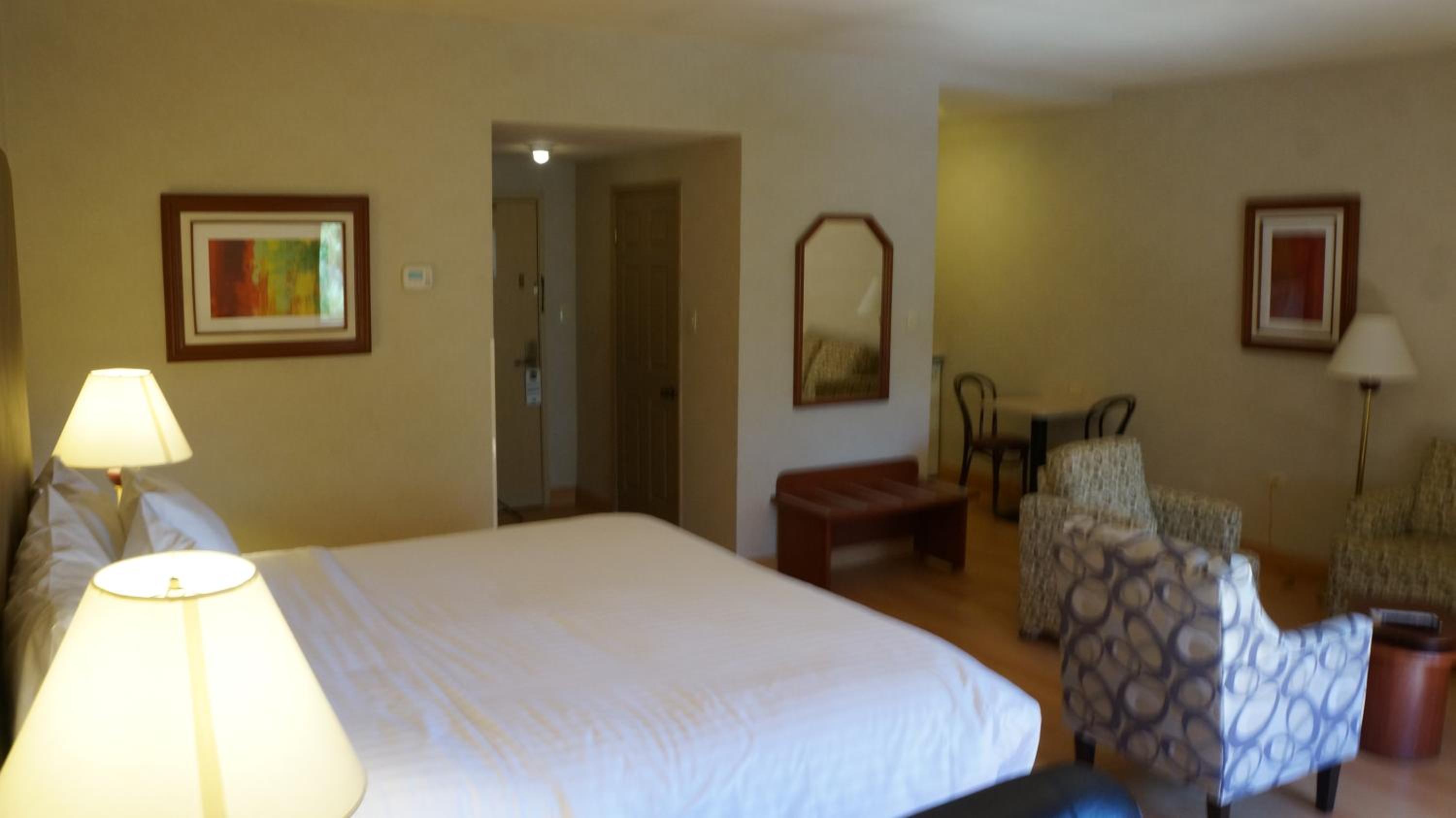 Suite - Photo 1
