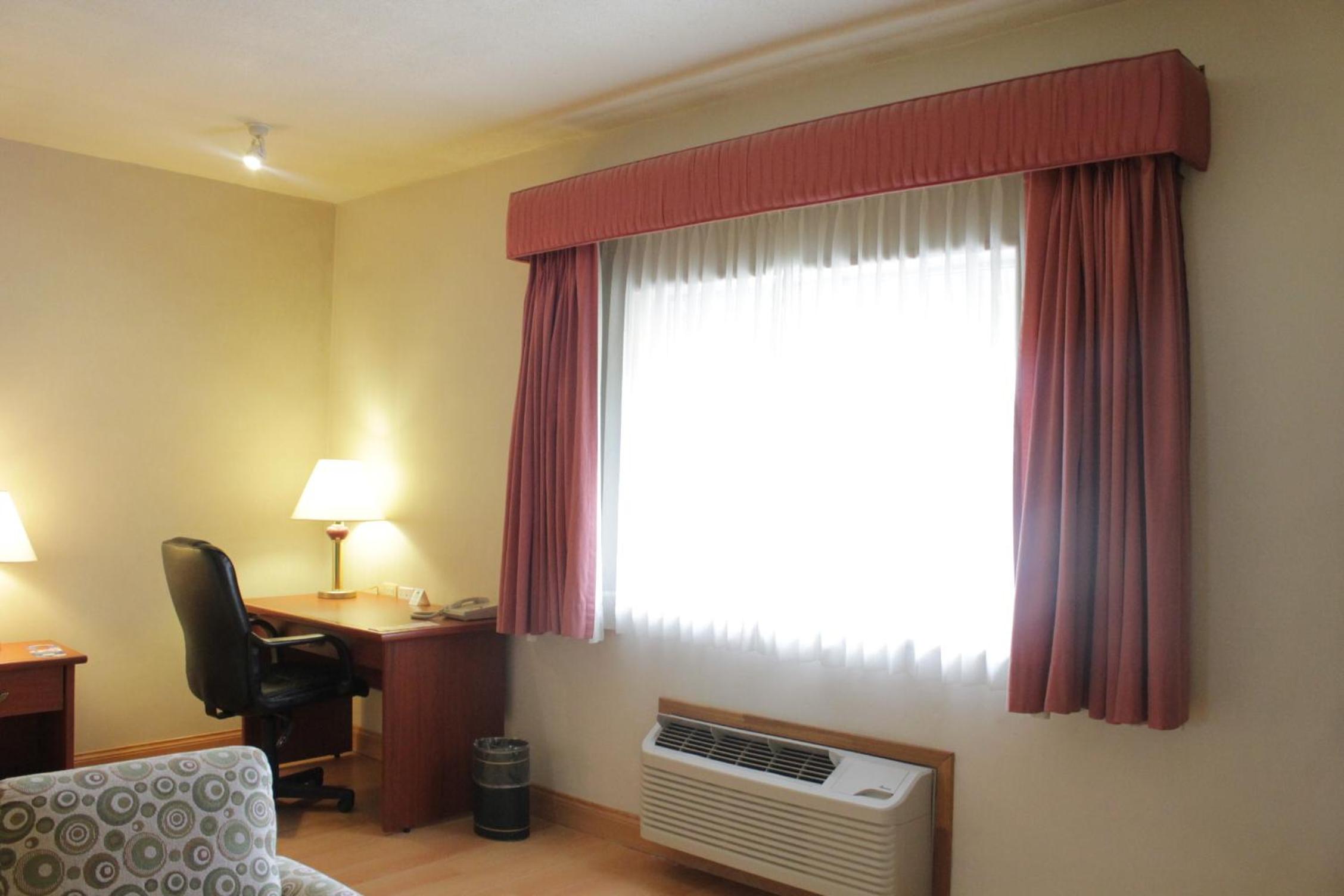 Suite - Photo 8