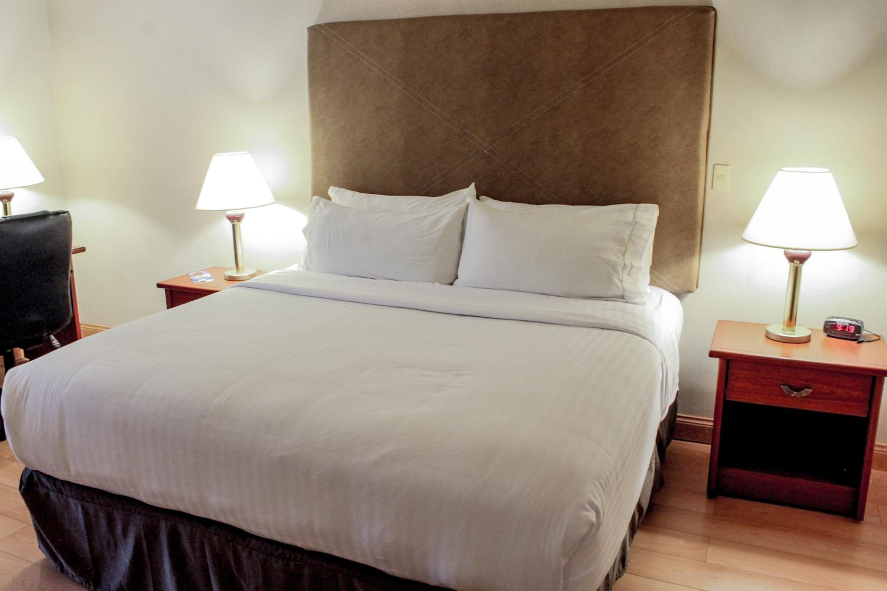 Suite - Photo 7