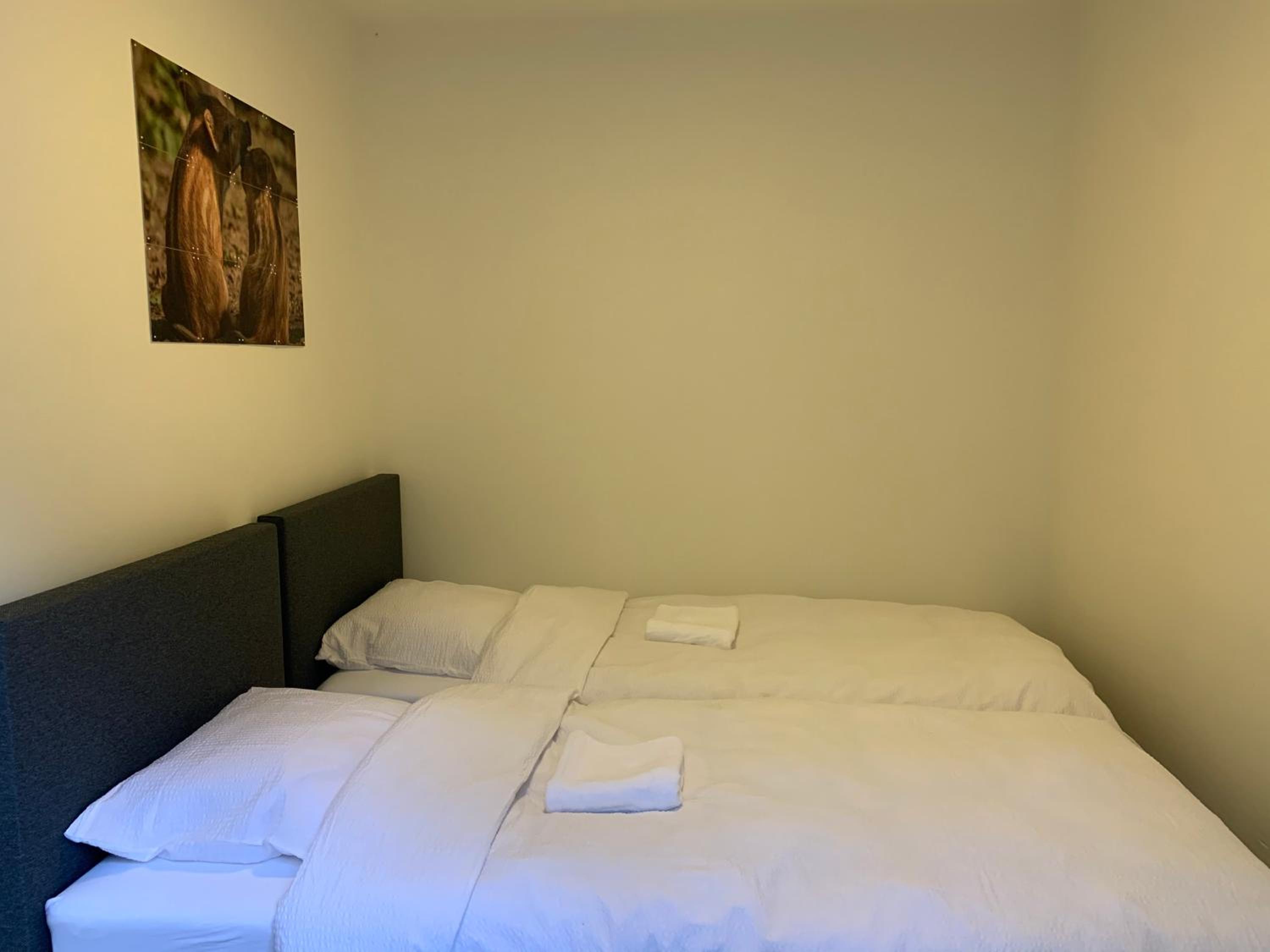 Two-Bedroom House photo 2