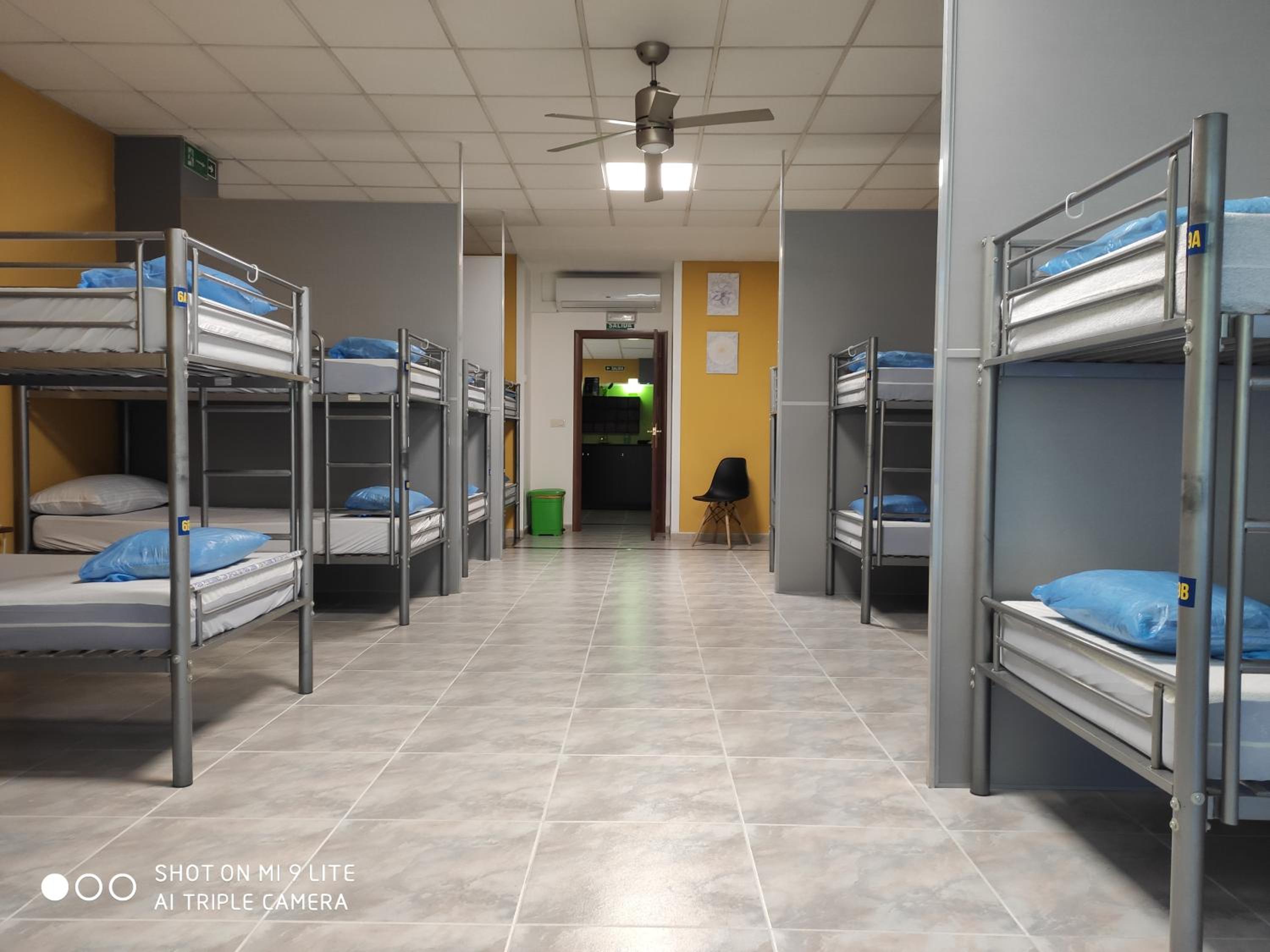 Bunk Bed in Mixed Dormitory Room photo 2