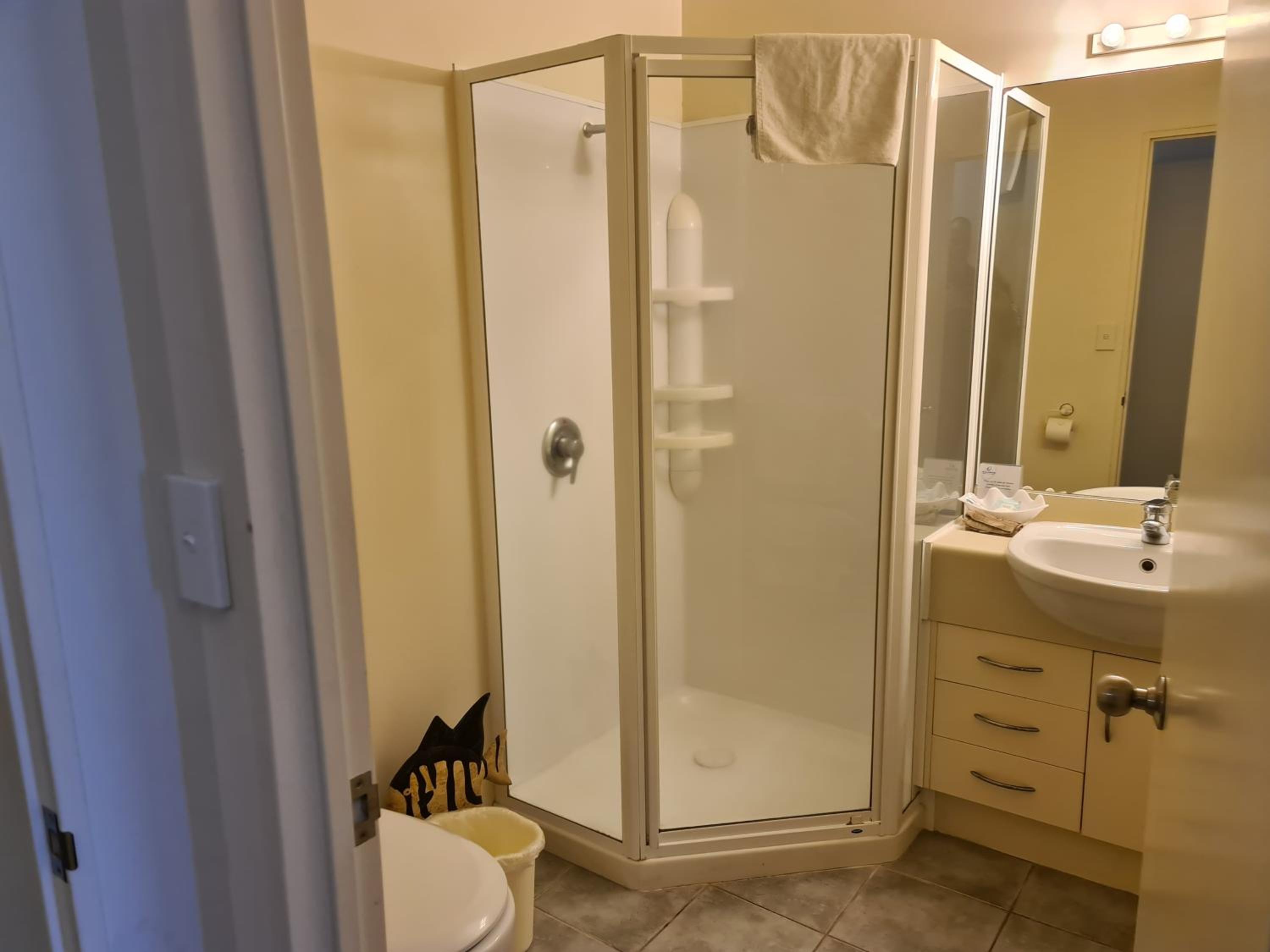 King Suite with Spa Bath photo 2