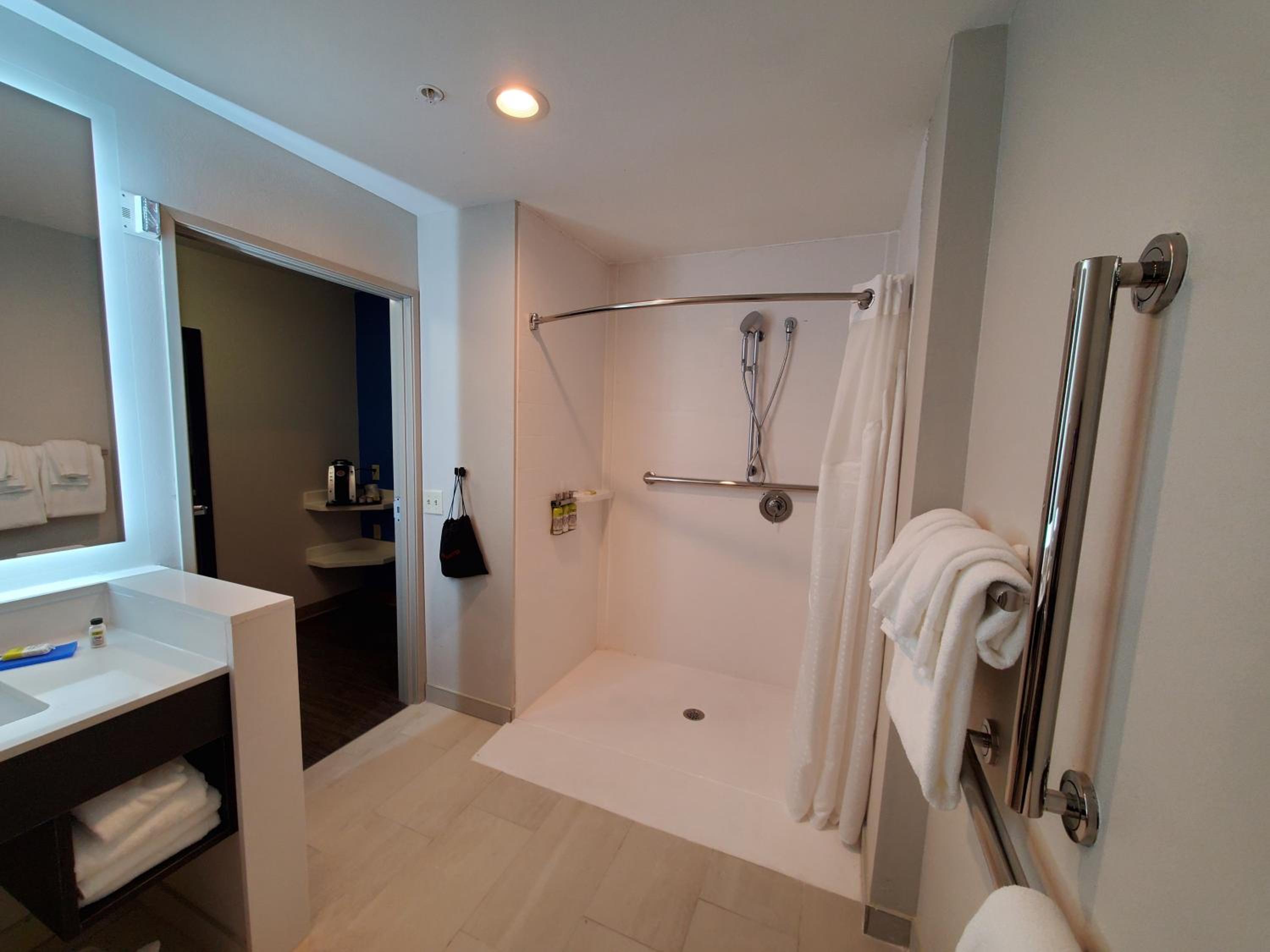 King Room Hearing Accessible with Roll-In Shower - Photo 4
