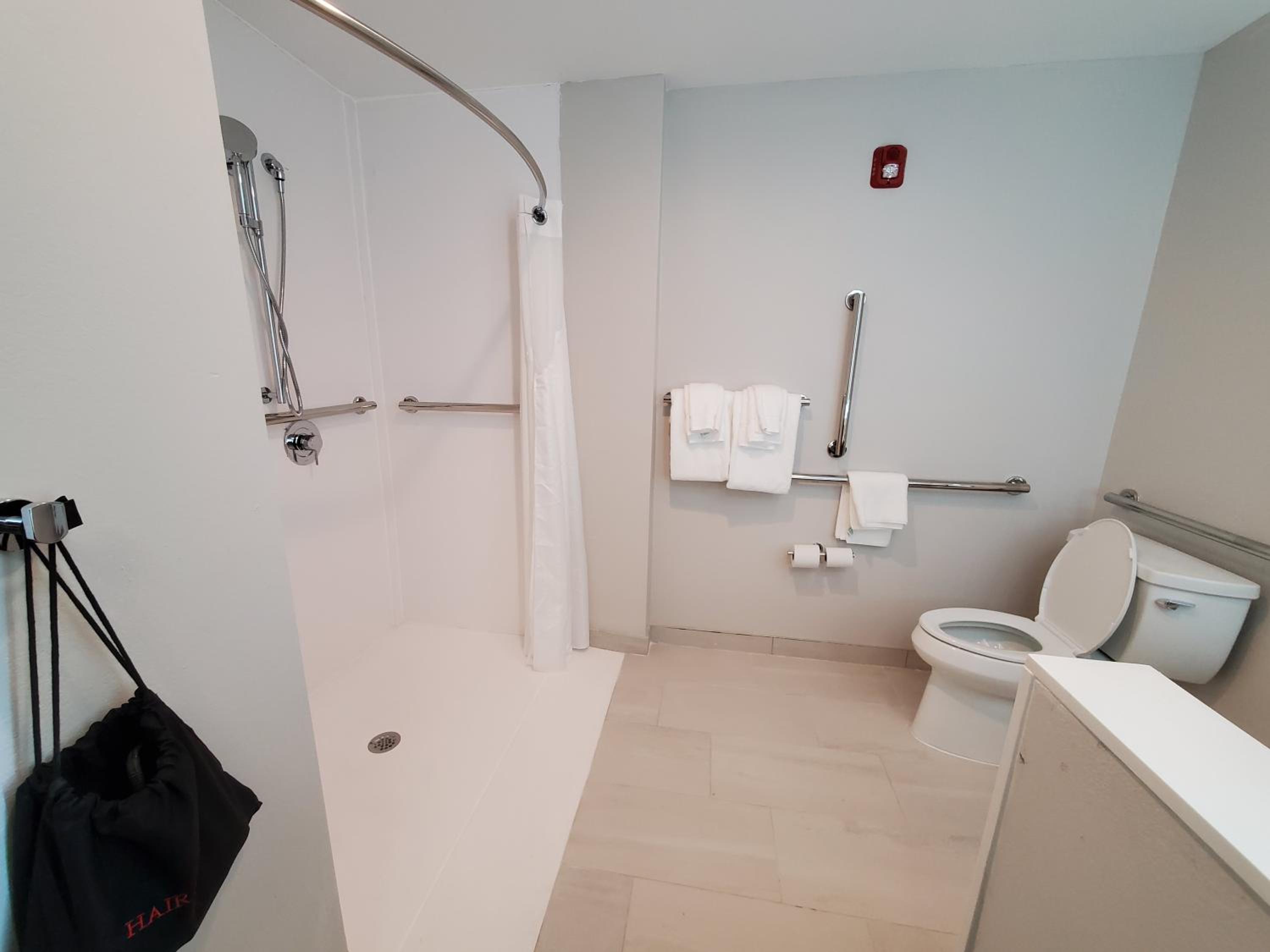 King Room Hearing Accessible with Roll-In Shower - Photo 7