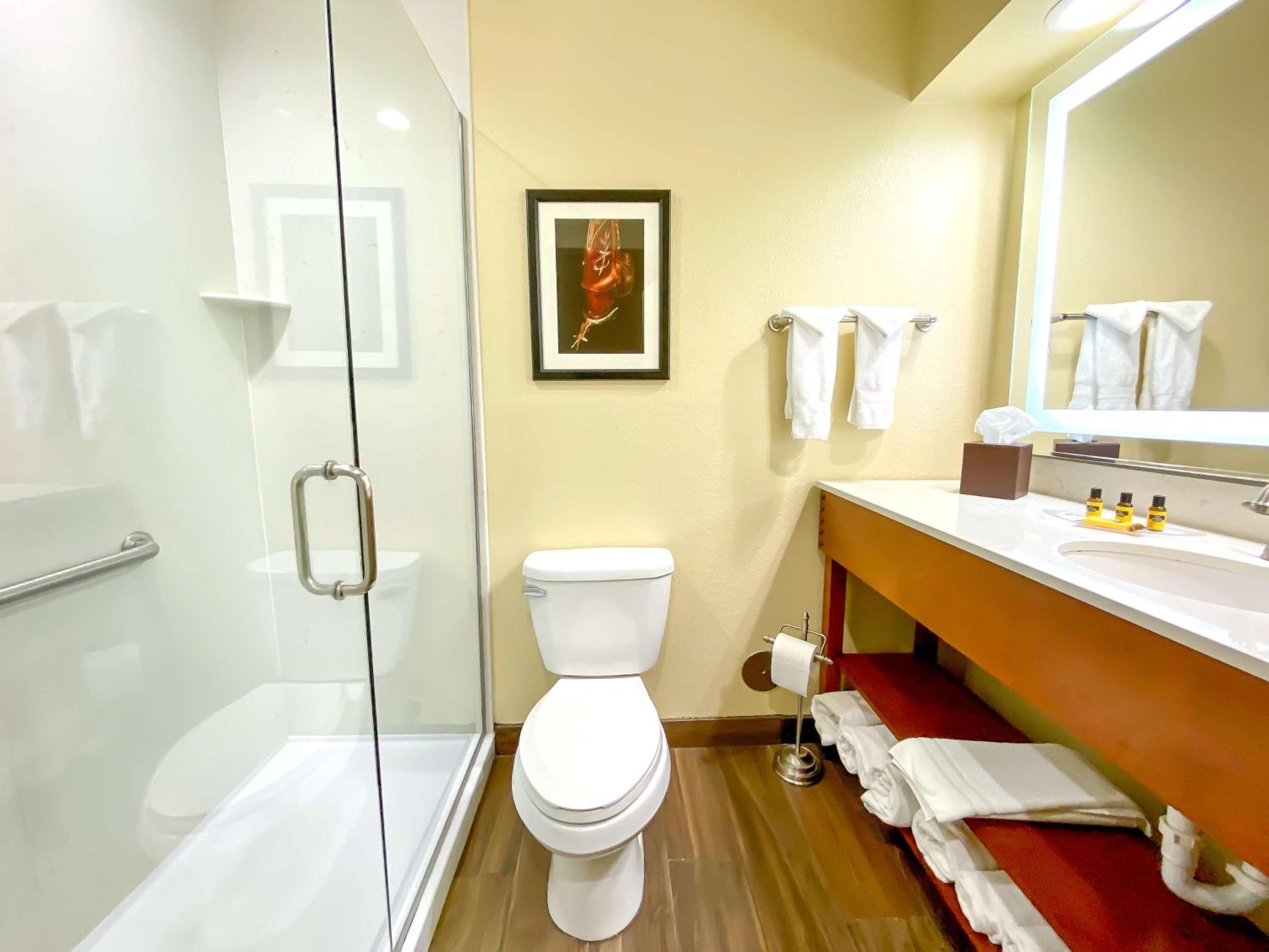 King Room - Non-Smoking photo 2