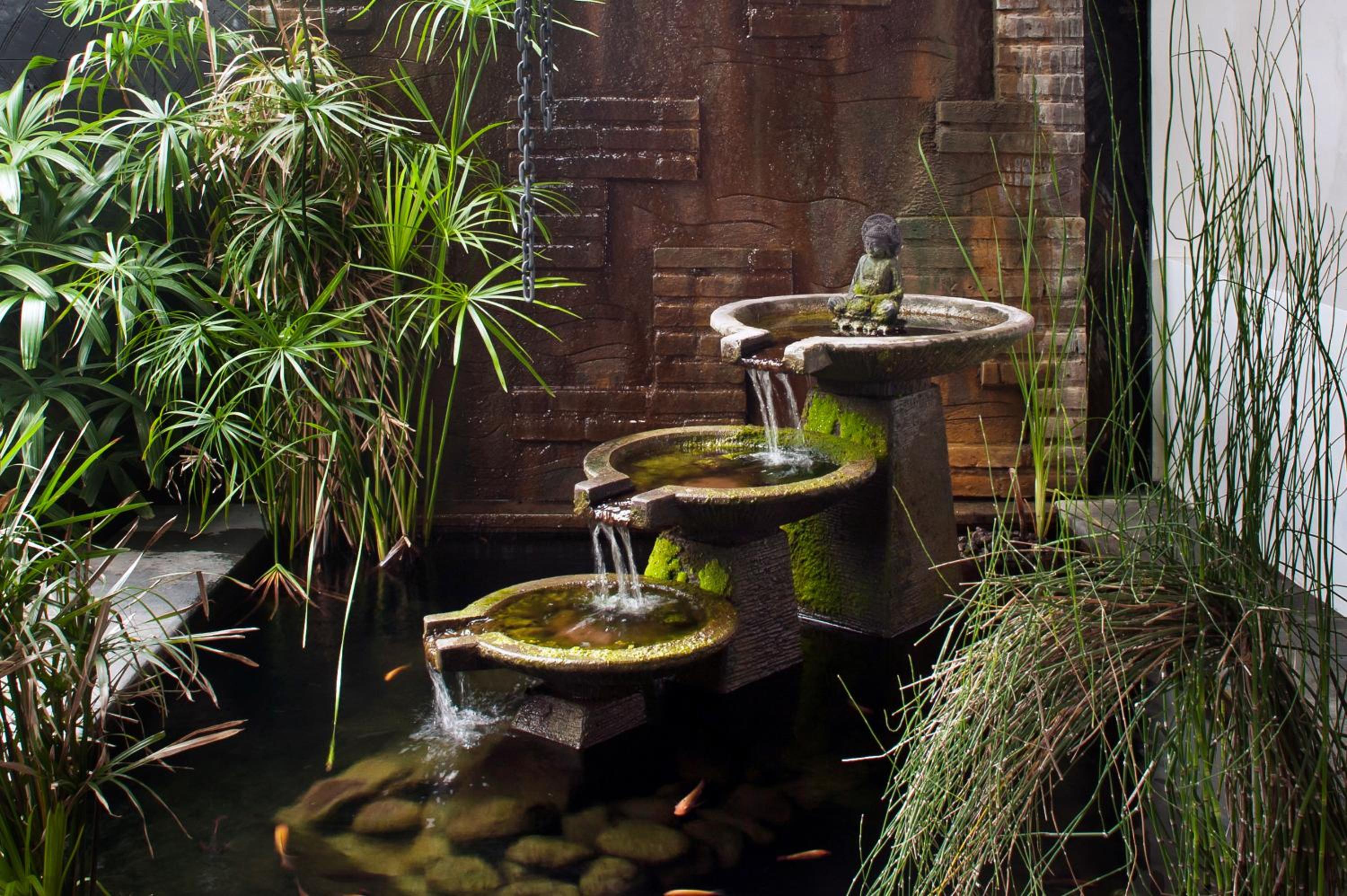 Villa Teman, photo 67