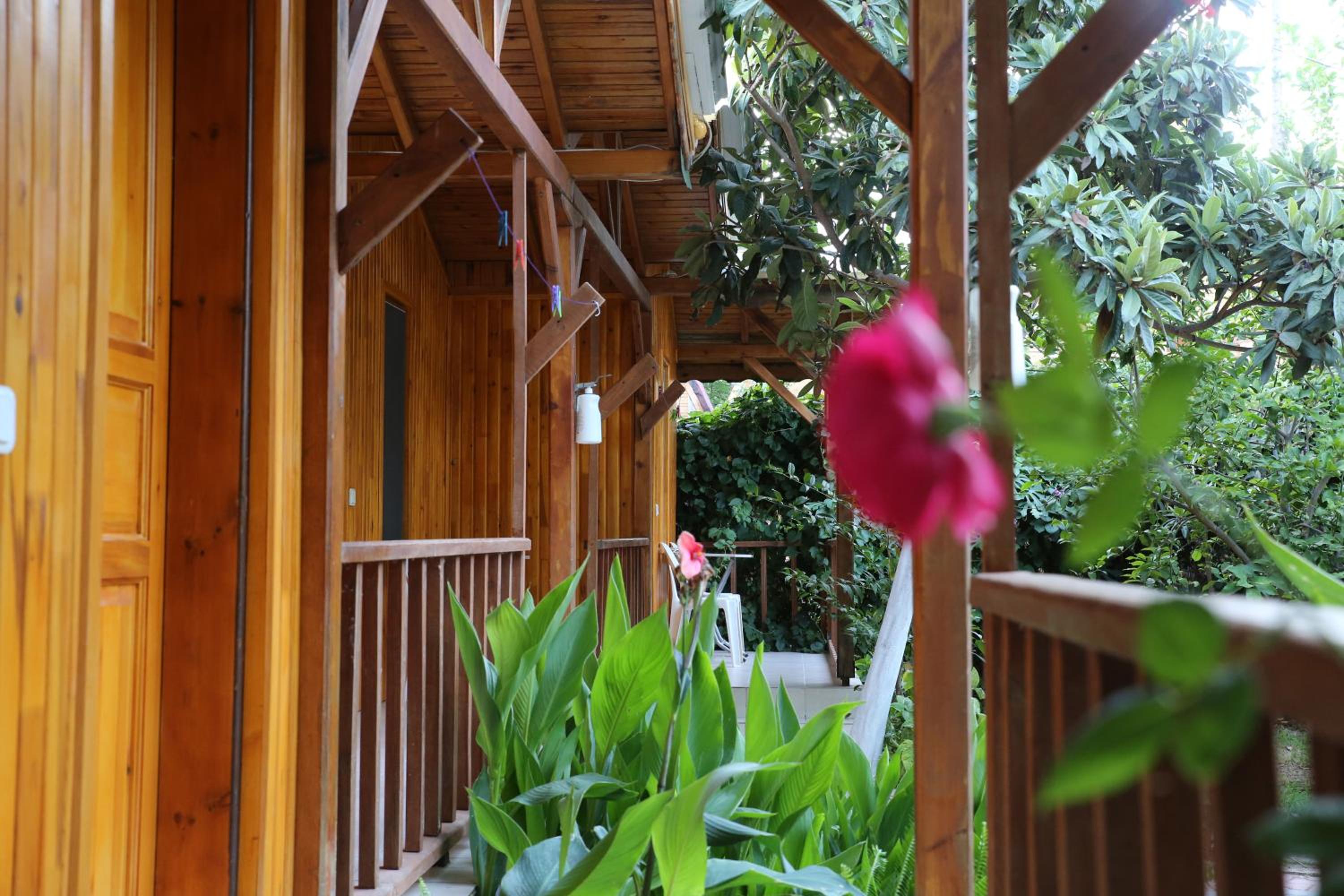 Bungalow (3 Adults) photo 3