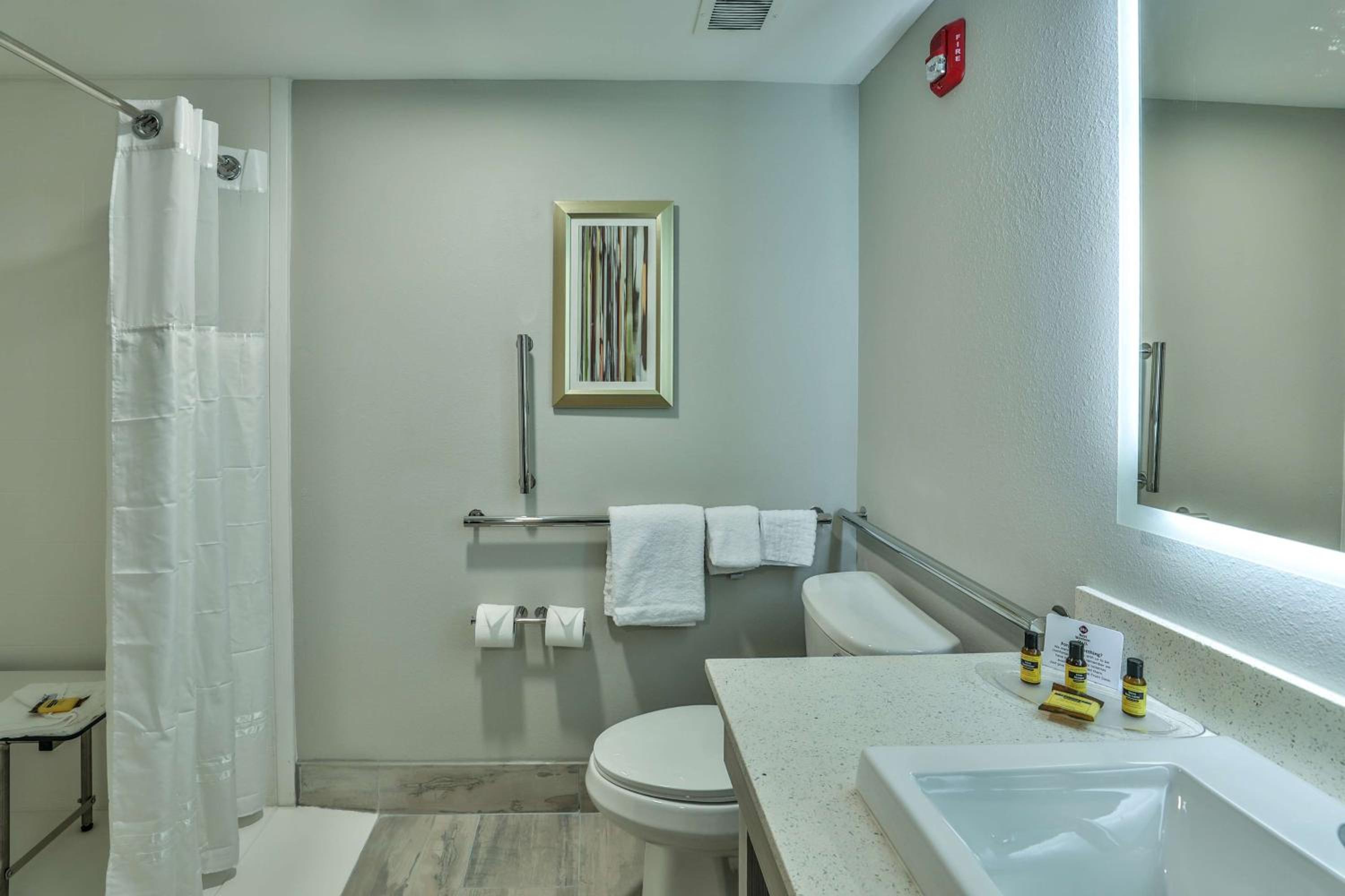 King Suite with Roll-In Shower and Sofa Bed - Disability/Non-Smoking - Photo 5