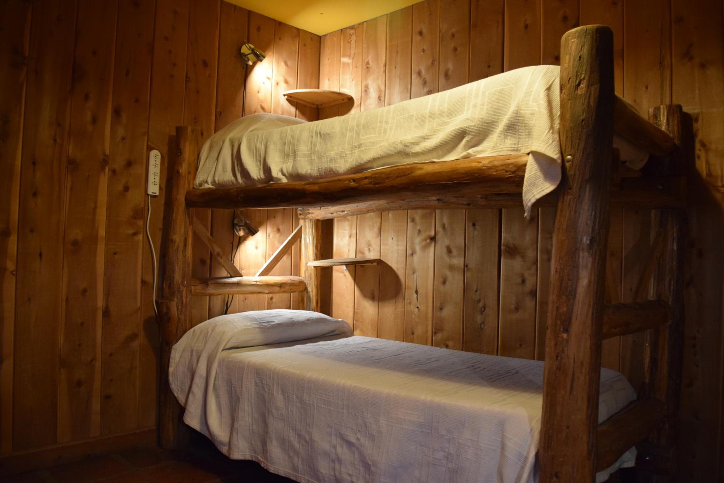 Single Bed in Mixed Dormitory Room photo 1