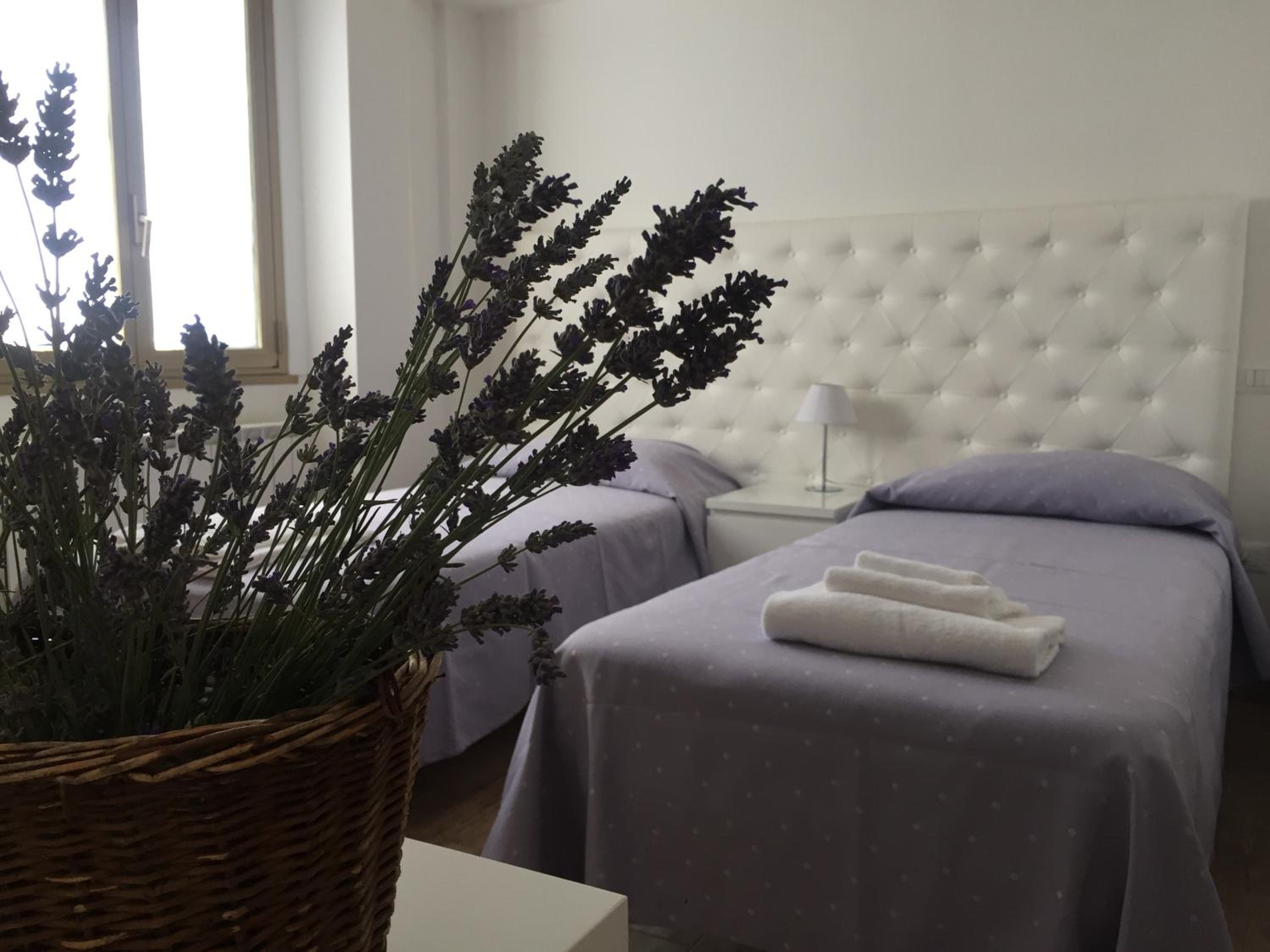 Deluxe Double or Twin Room - Photo 1