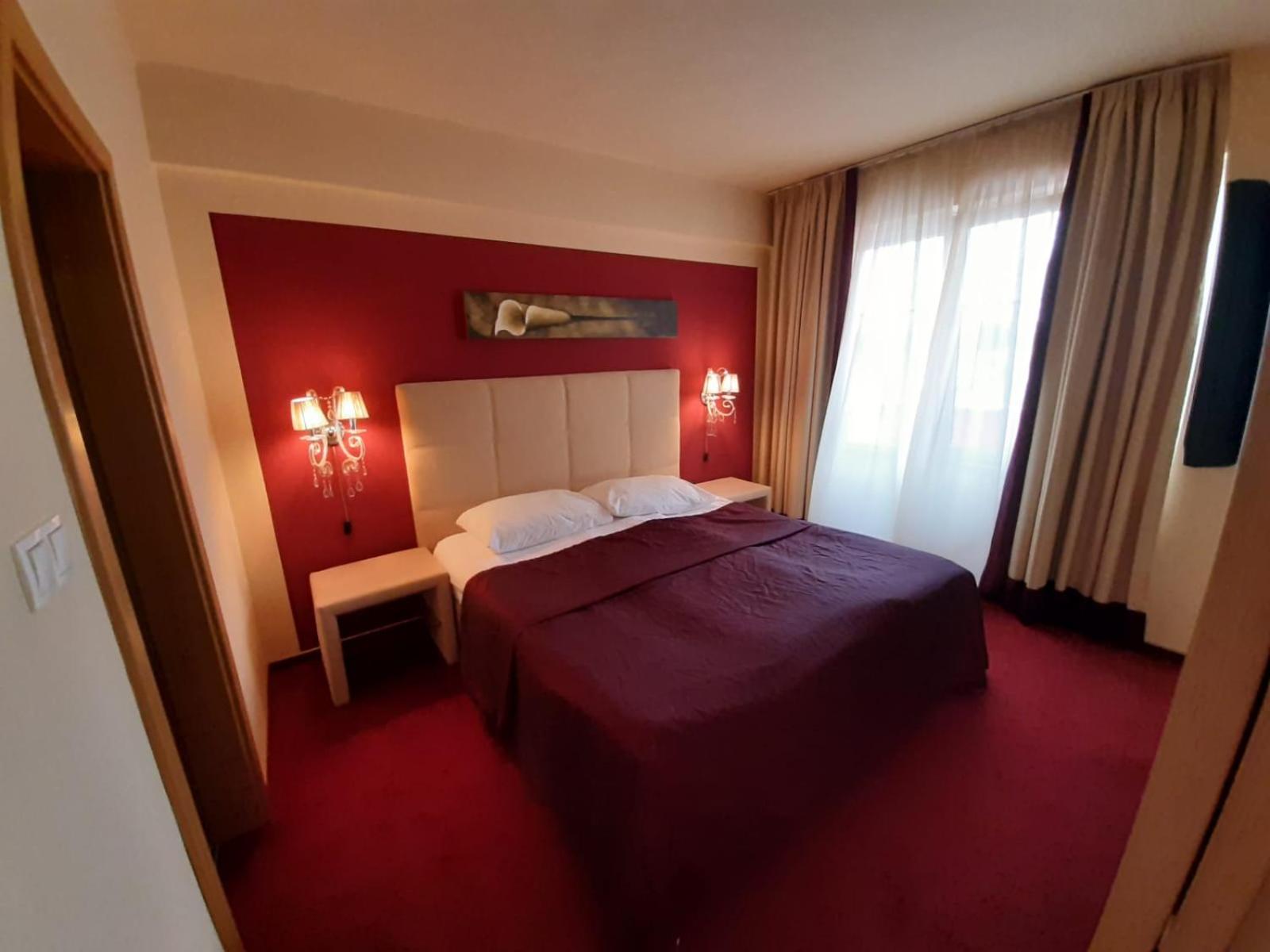 Suite - Photo 2
