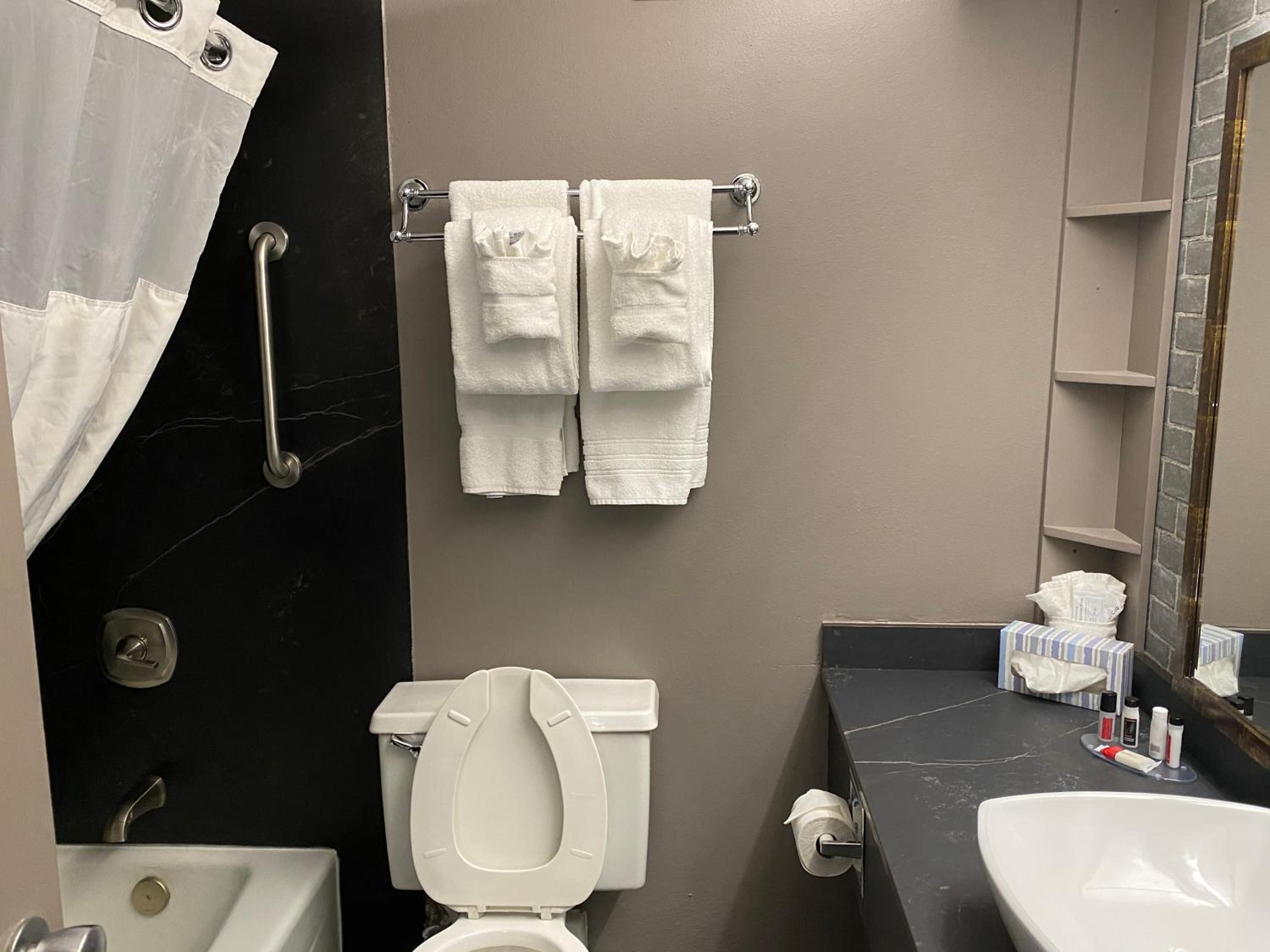 1 King Bed, One-Bedroom, Premier Tower Suite, Non-Smoking
