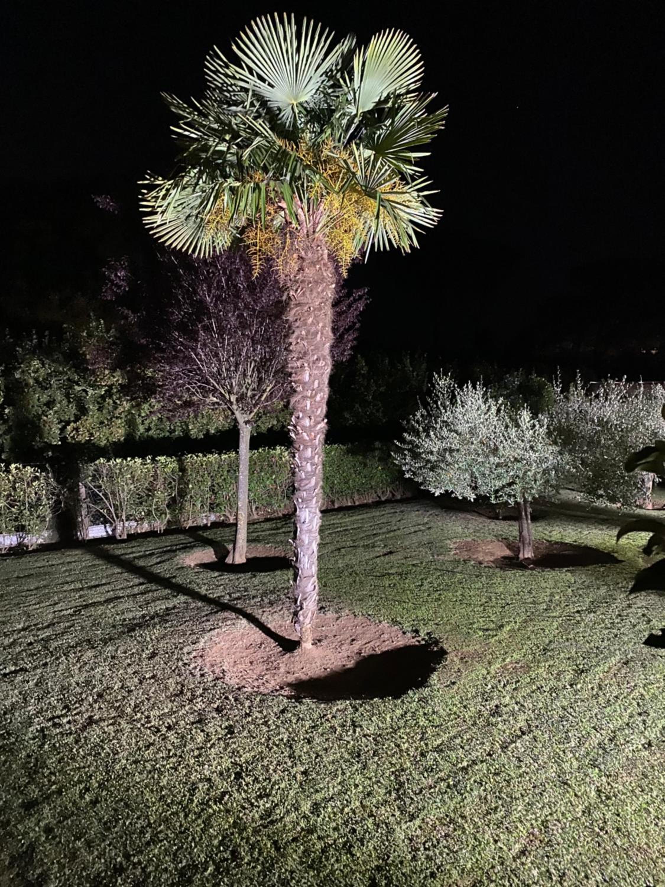 Vacation Home - Photo 29