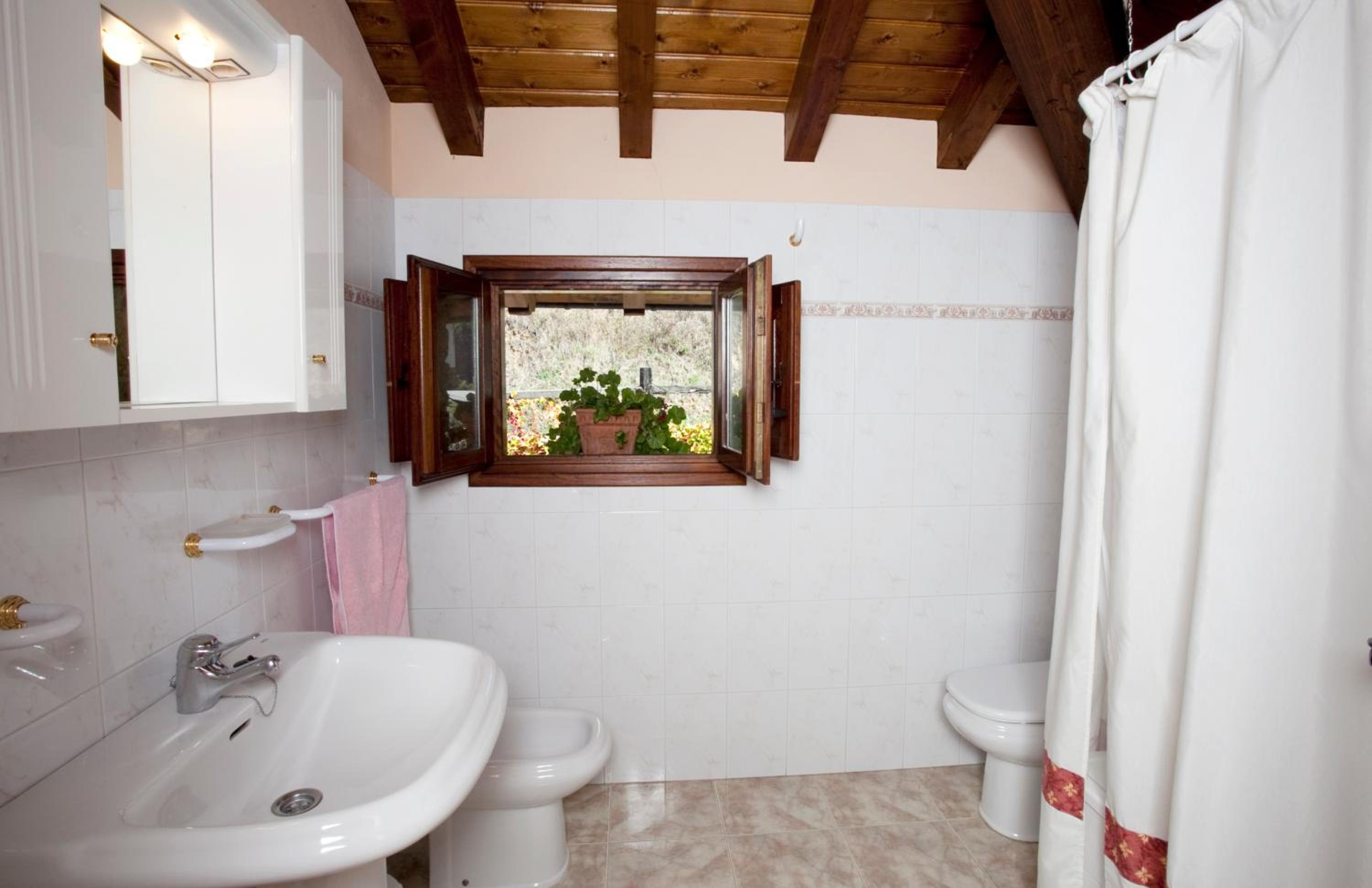 Duplex Apartment photo 3