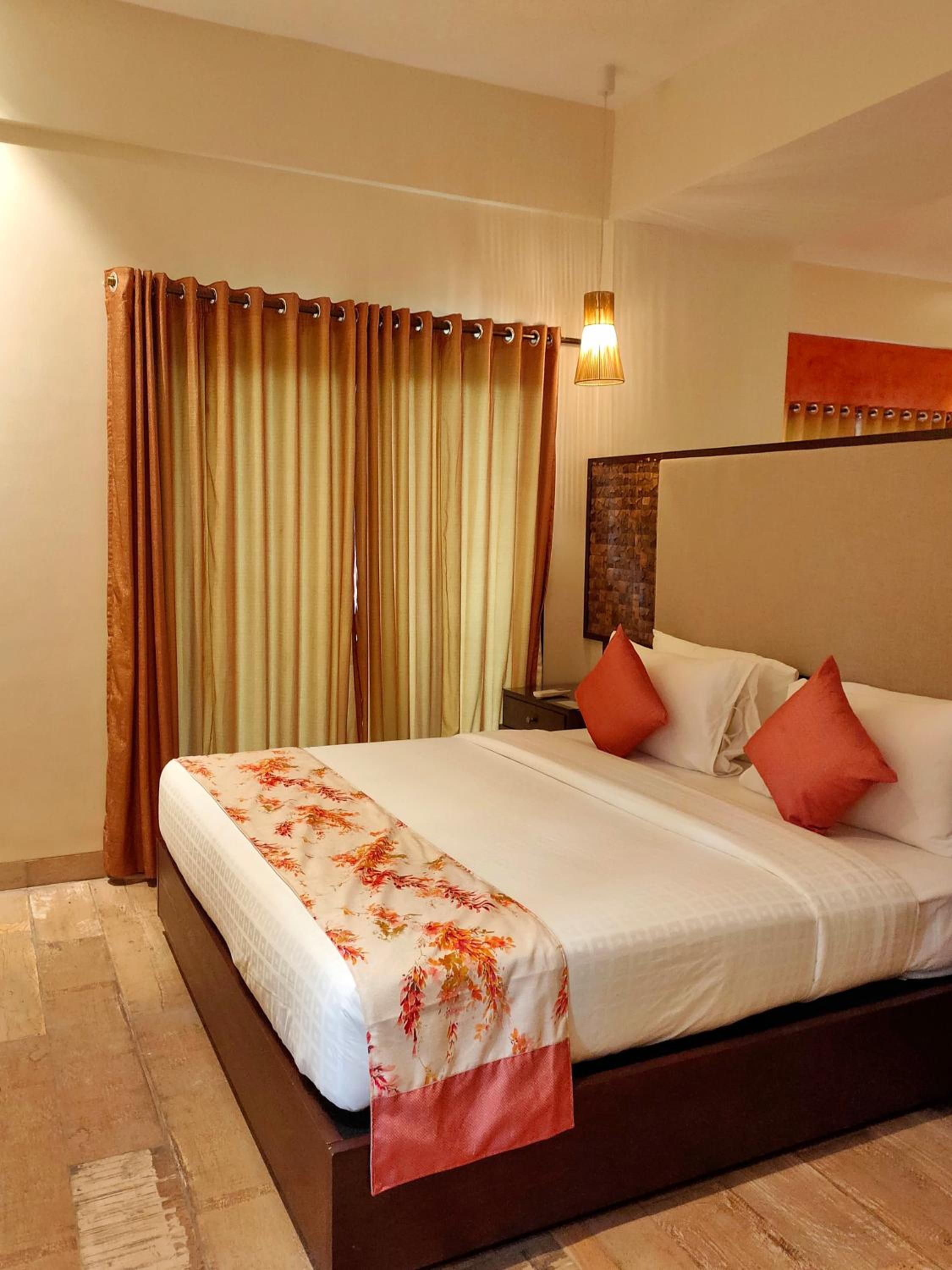 Suite - Photo 1