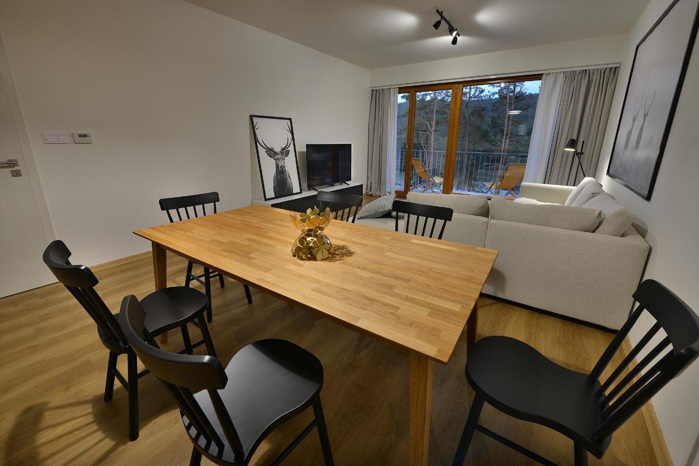Deluxe Two-Bedroom Apartment with Sauna - Photo 4
