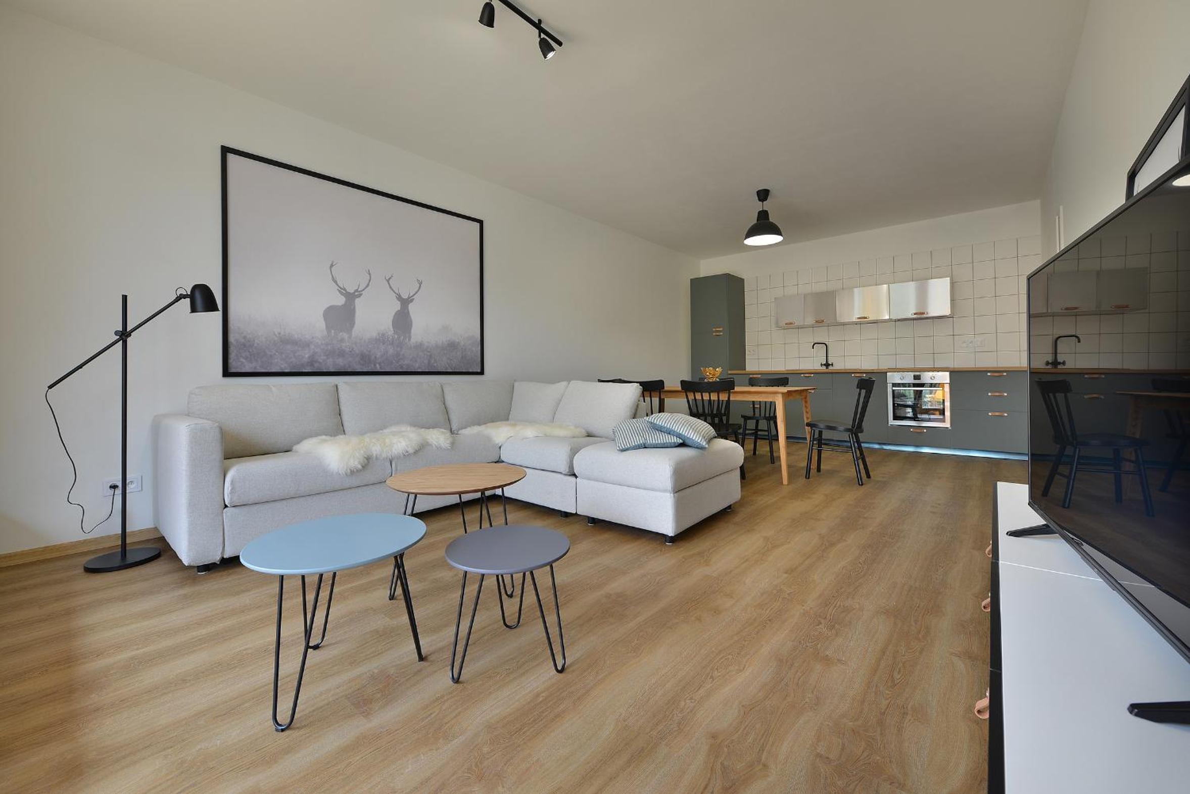 Deluxe Two-Bedroom Apartment with Sauna - Photo 18