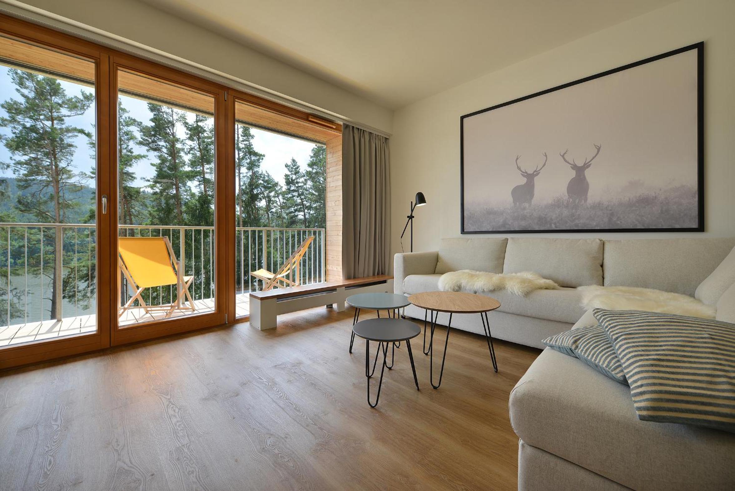Deluxe Two-Bedroom Apartment with Sauna - Photo 2