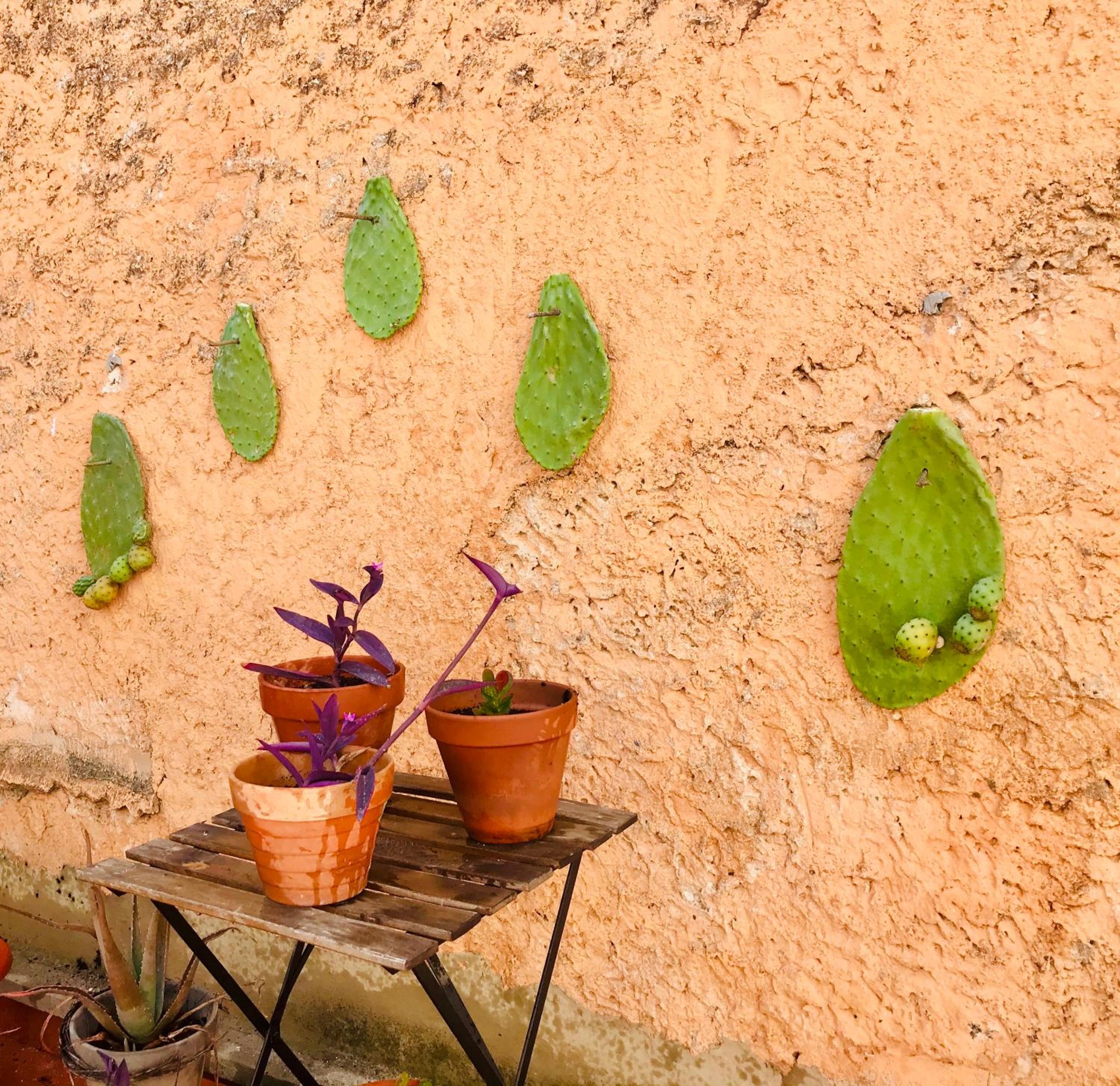 Apartment with Terrace - Photo 16