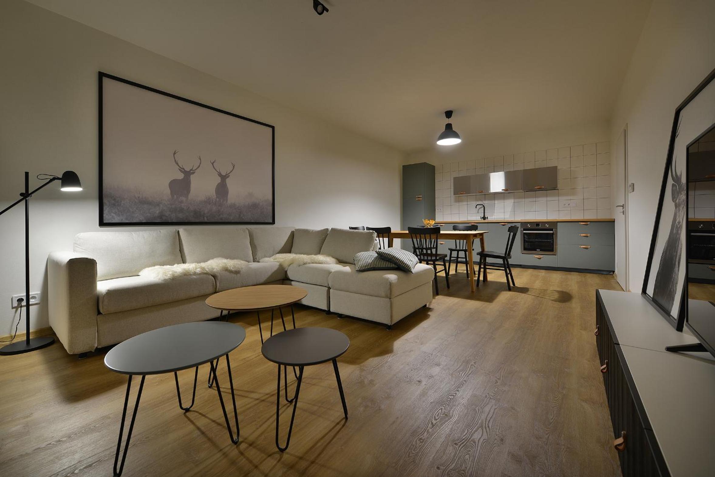 Deluxe Two-Bedroom Apartment with Sauna - Photo 14