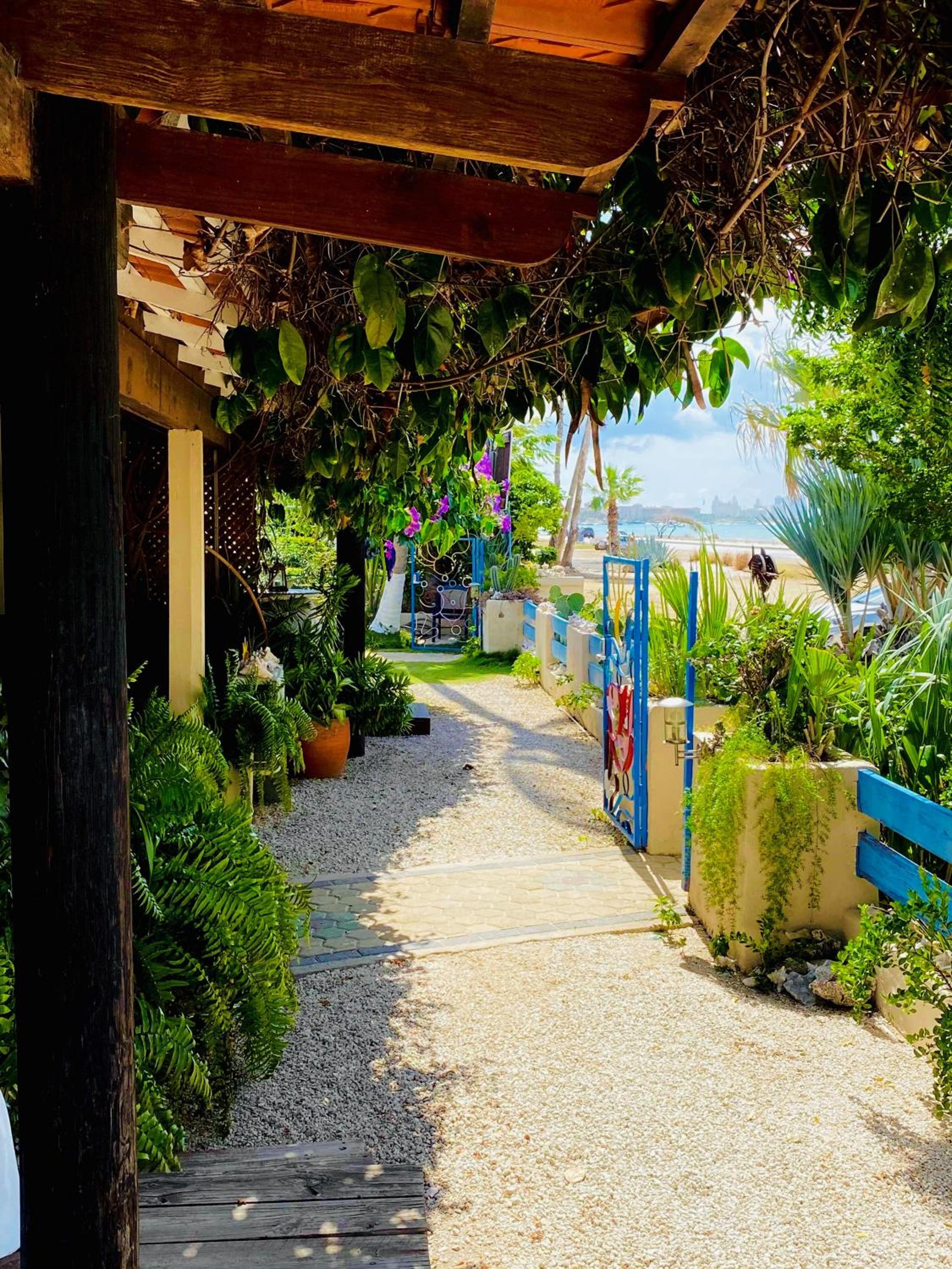 Studio with Ocean View photo 2