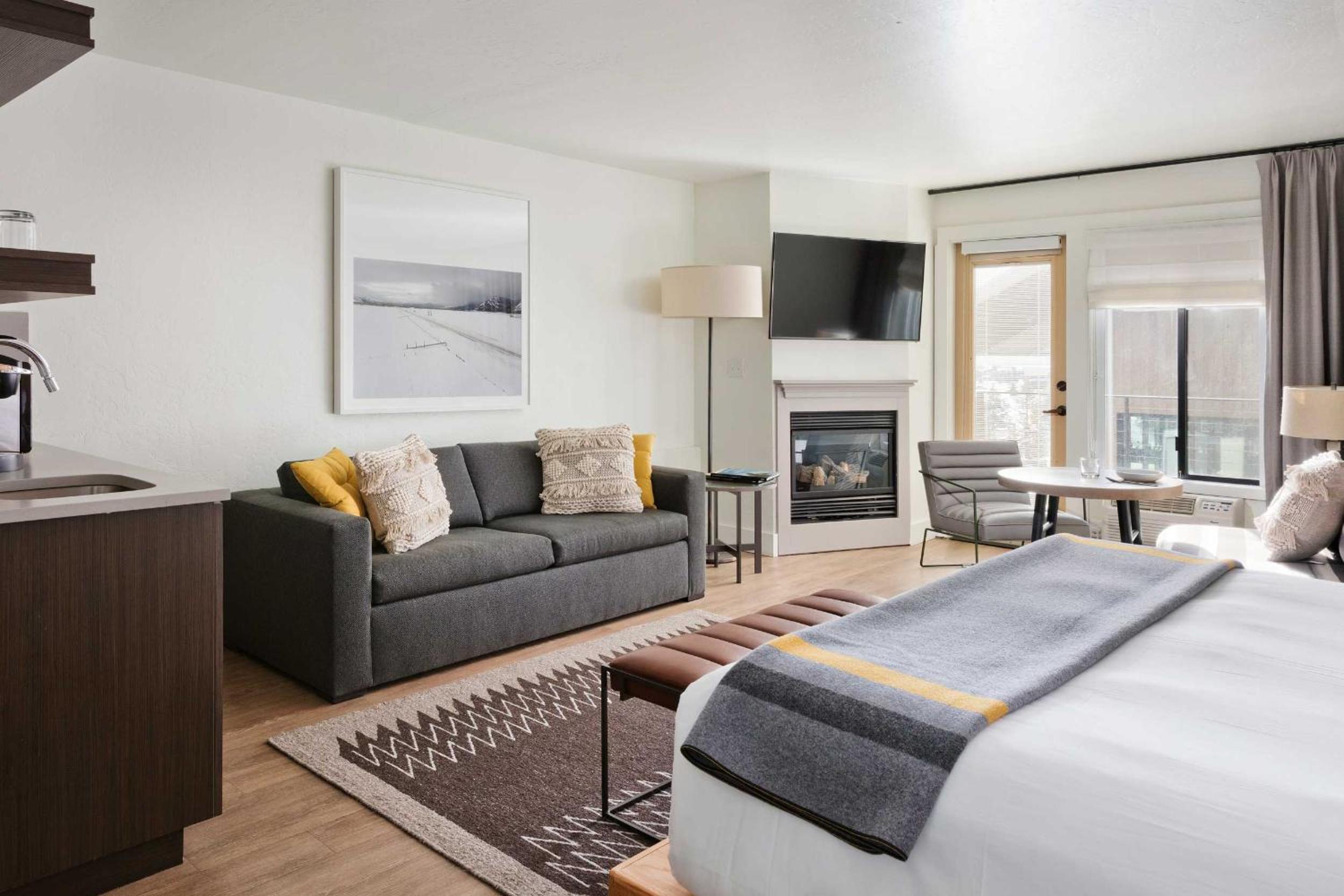 ADA Studio Suite | King + Queen Sofa Sleeper + Tub photo 1