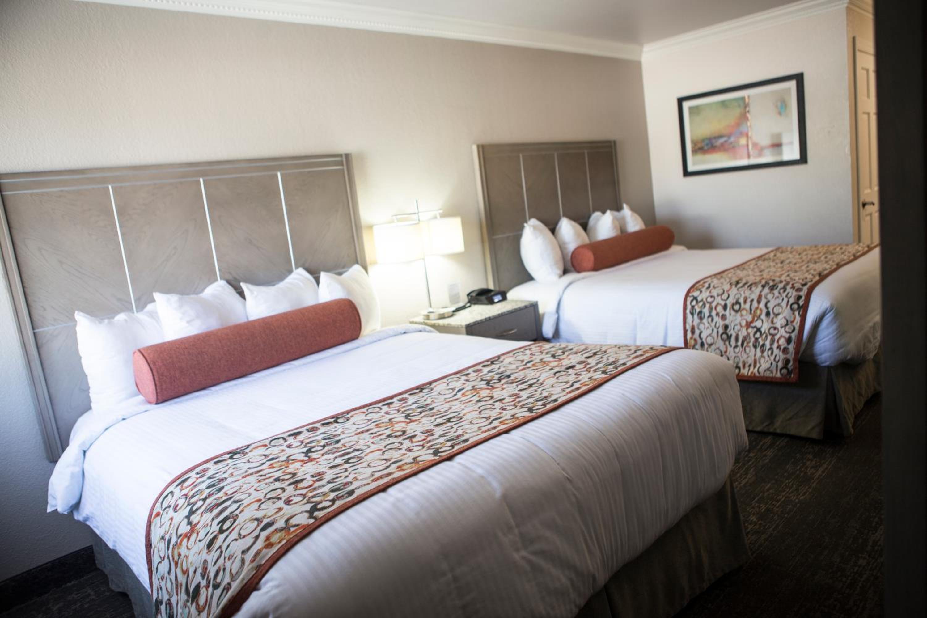 2 Queen Beds Non Smoking photo 1