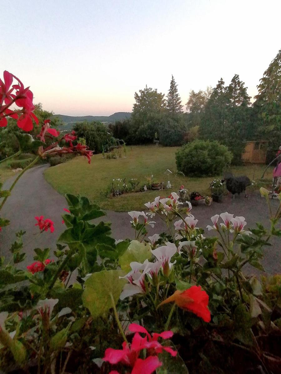 Double Room with Garden View photo 2