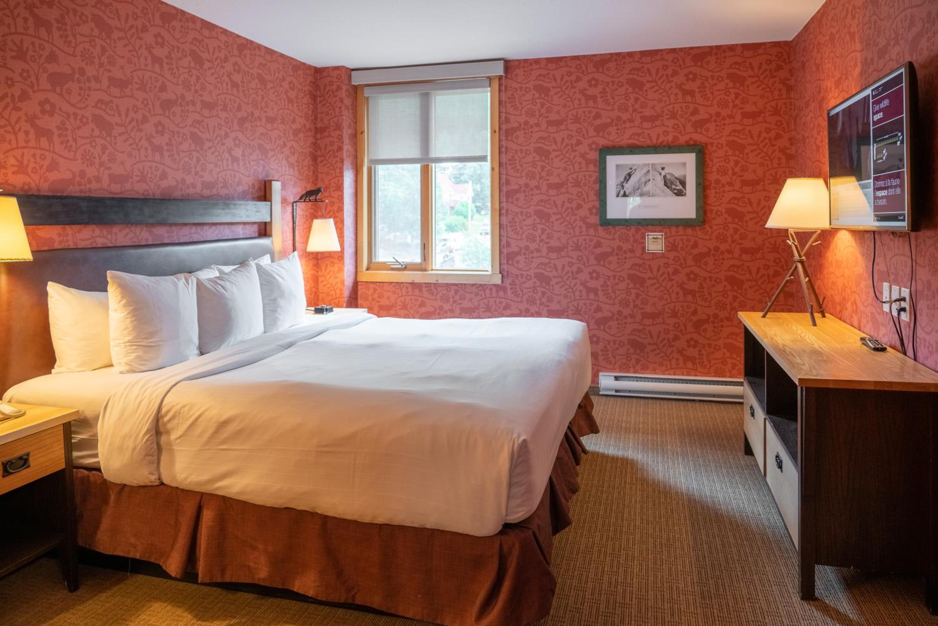 One-Bedroom Suite with King Bed - Photo 3