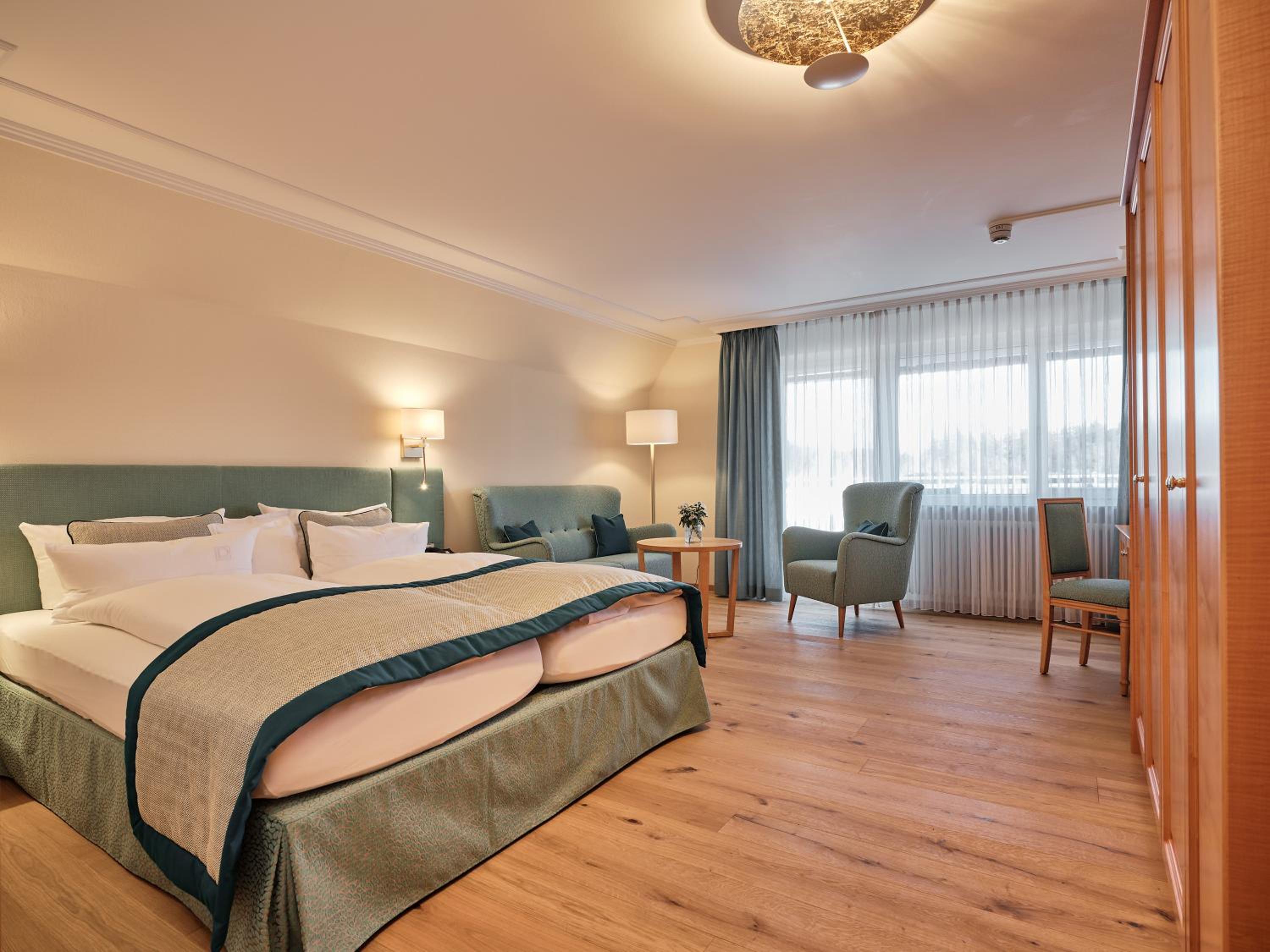 Deluxe Plus Double Room photo 2