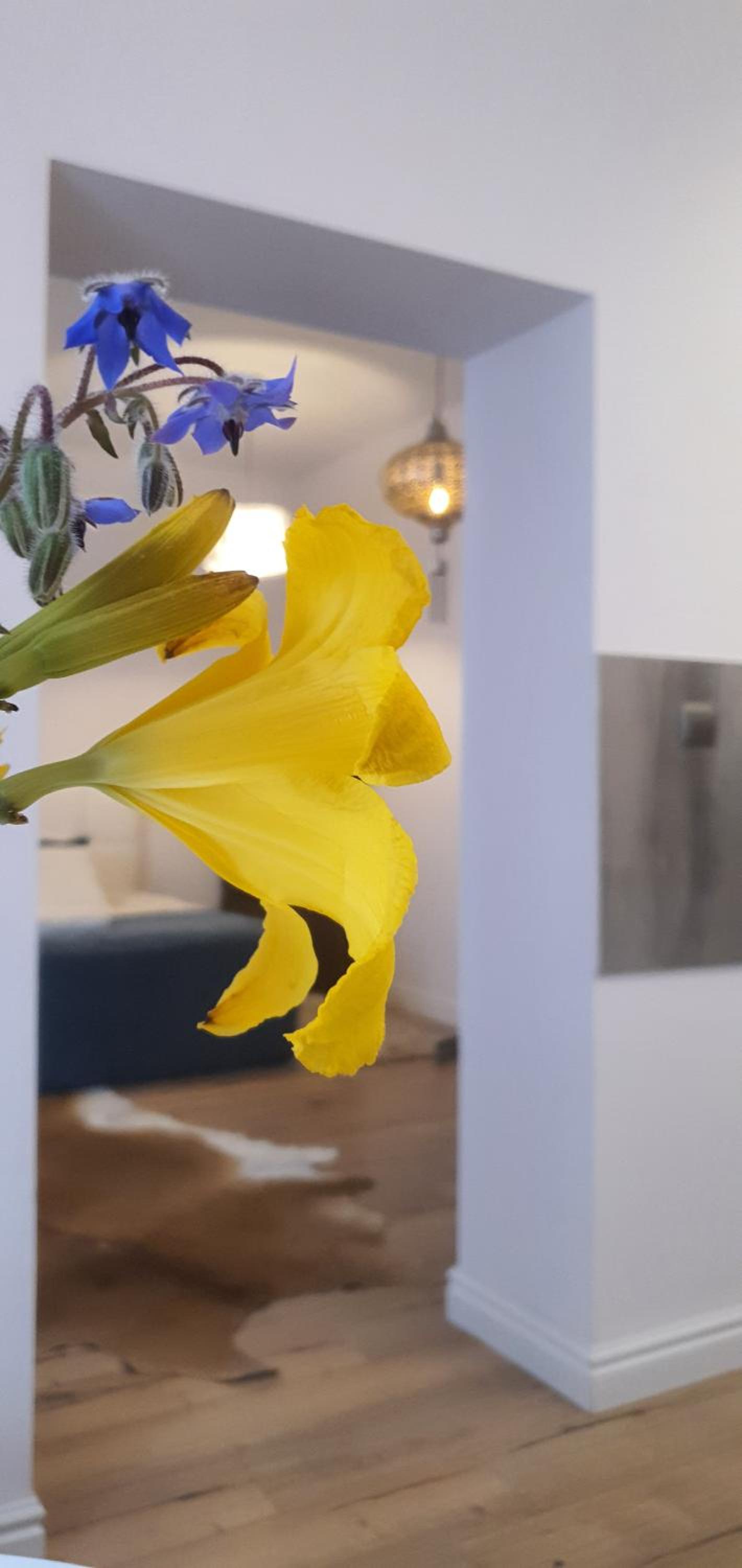 Apartment - Ground Floor - Photo 3