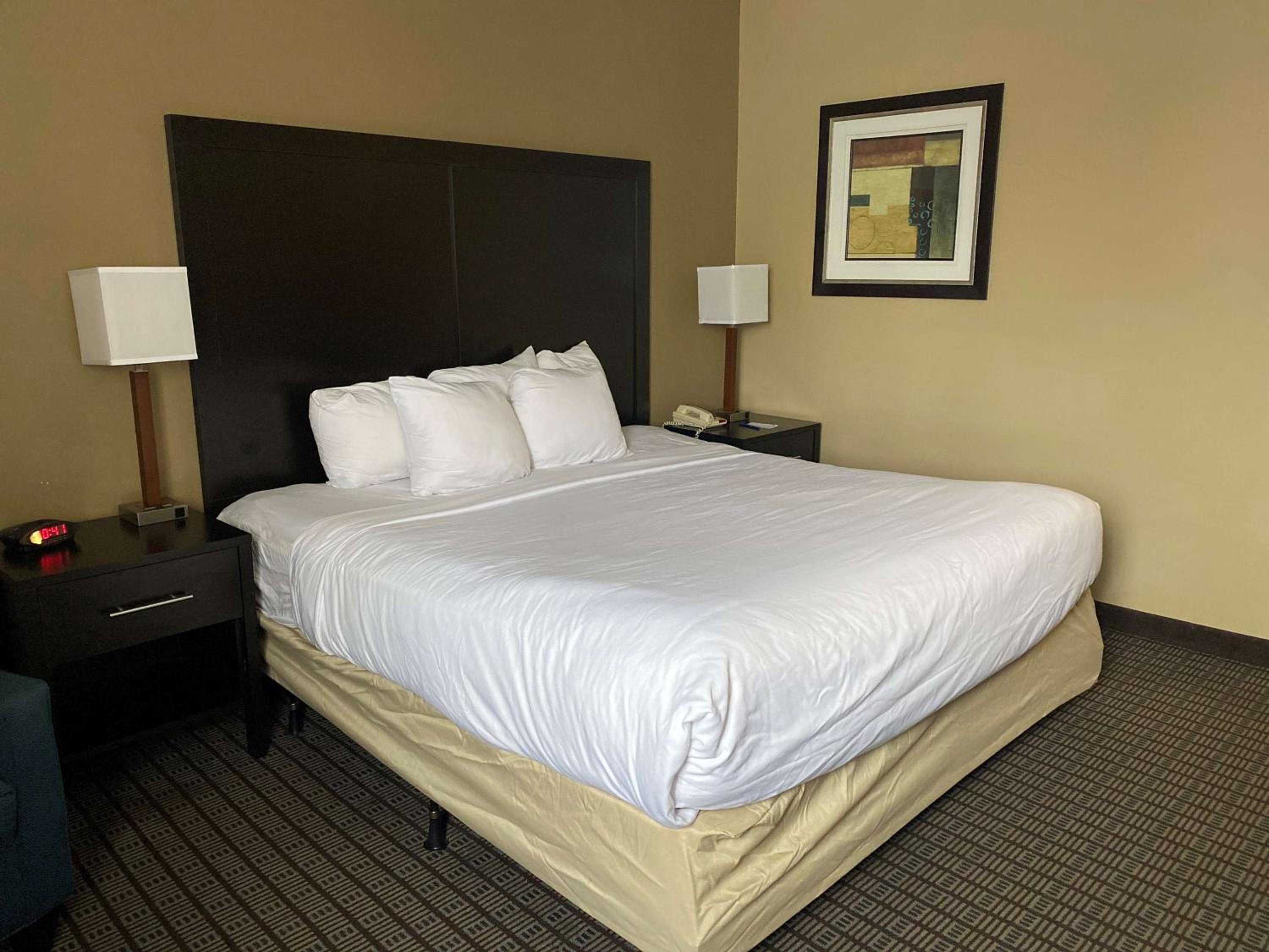 King Room photo 3