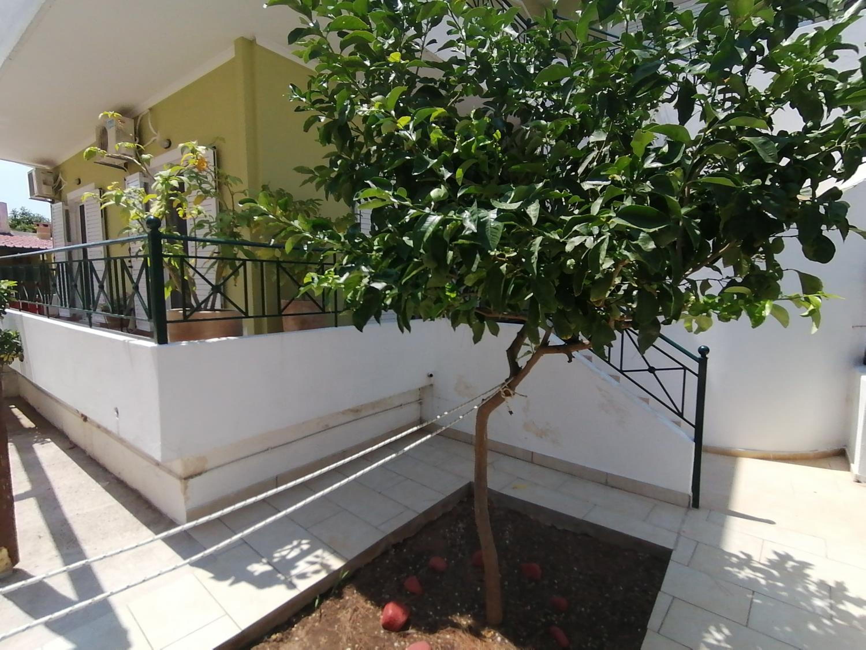 Apartment - Photo 19