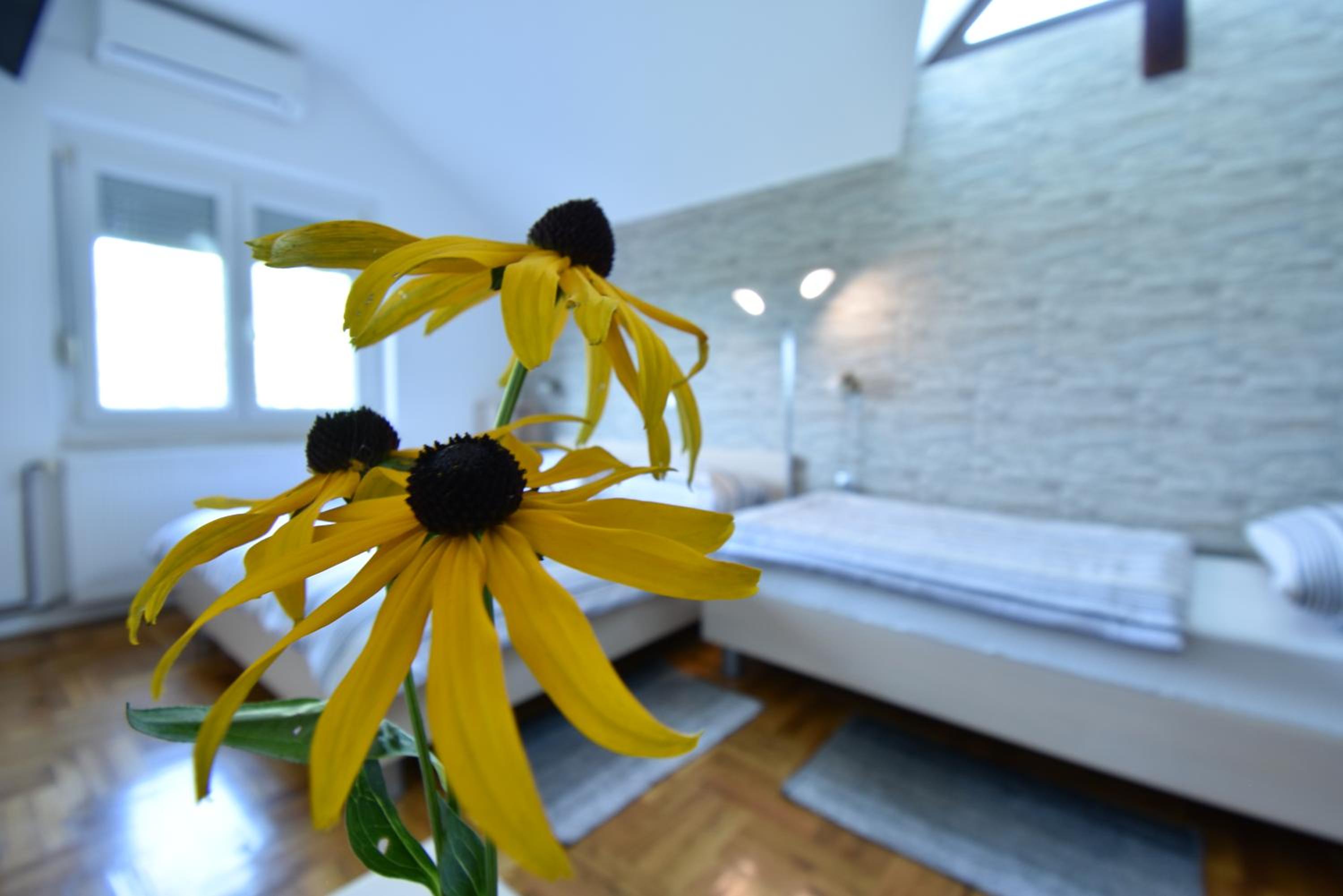 Triple Room - Photo 5